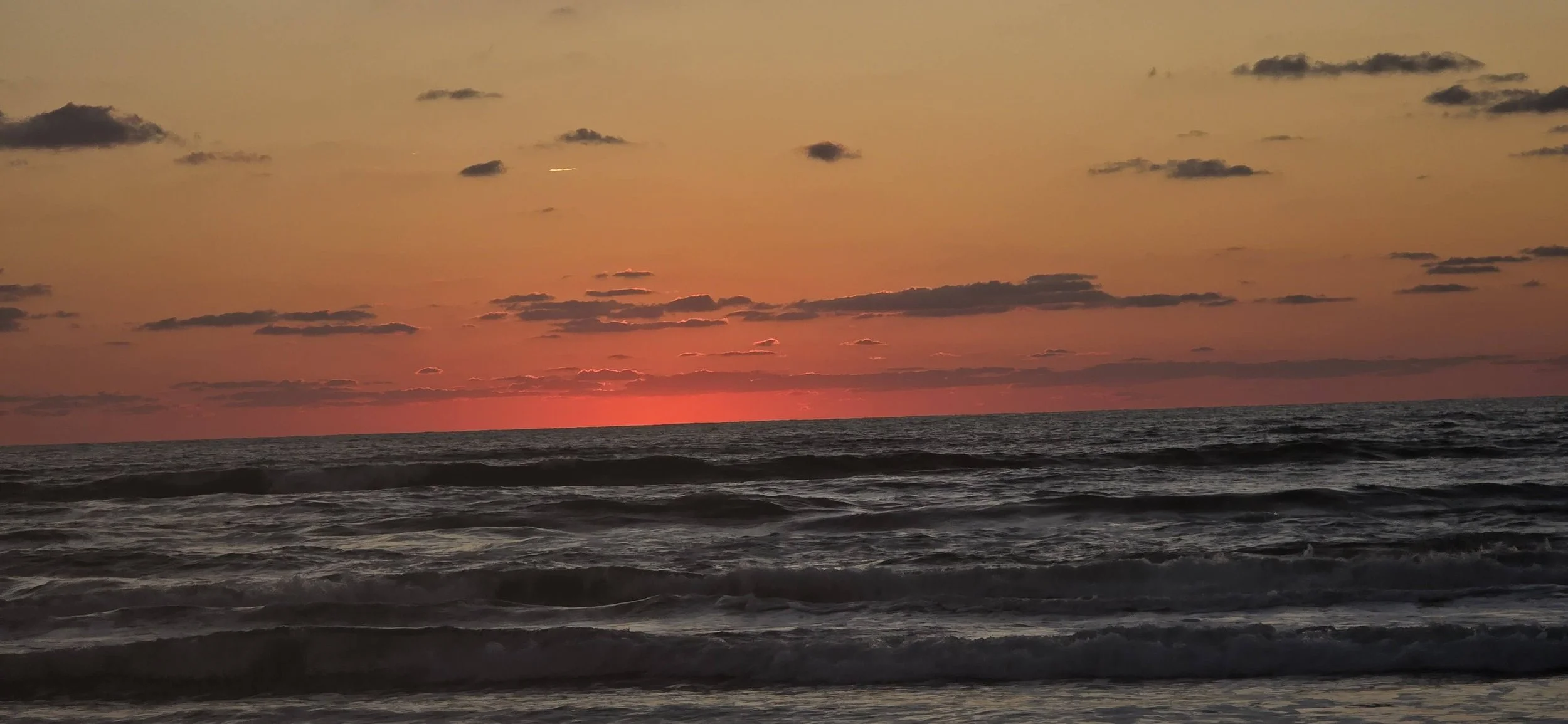 Corpus Christi Texas (2025)