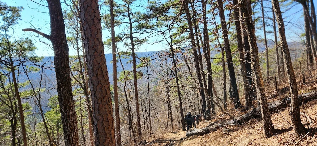 Ouachita National Forest, Arkansas (2025)