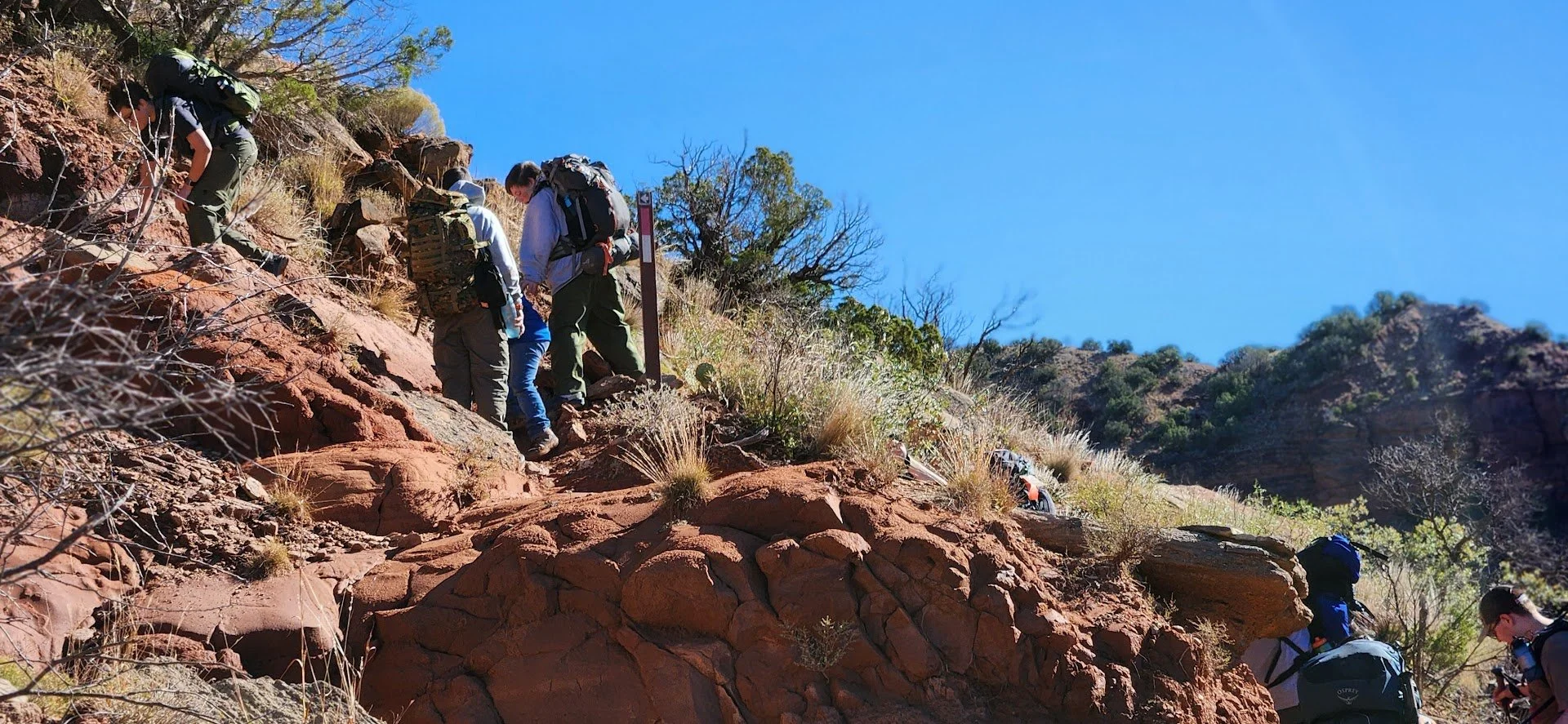 Caprock Canyon (2024)