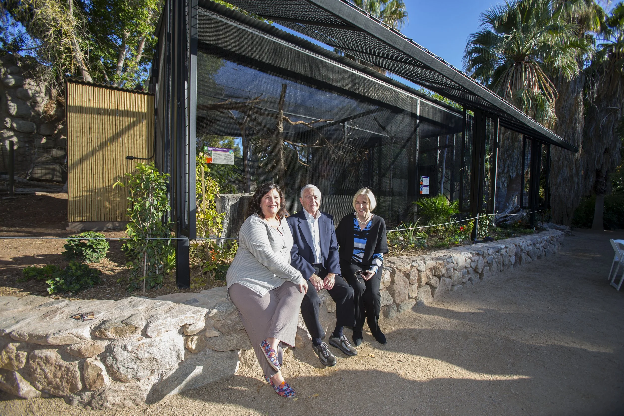 Curassow_twiford aviary.jpg