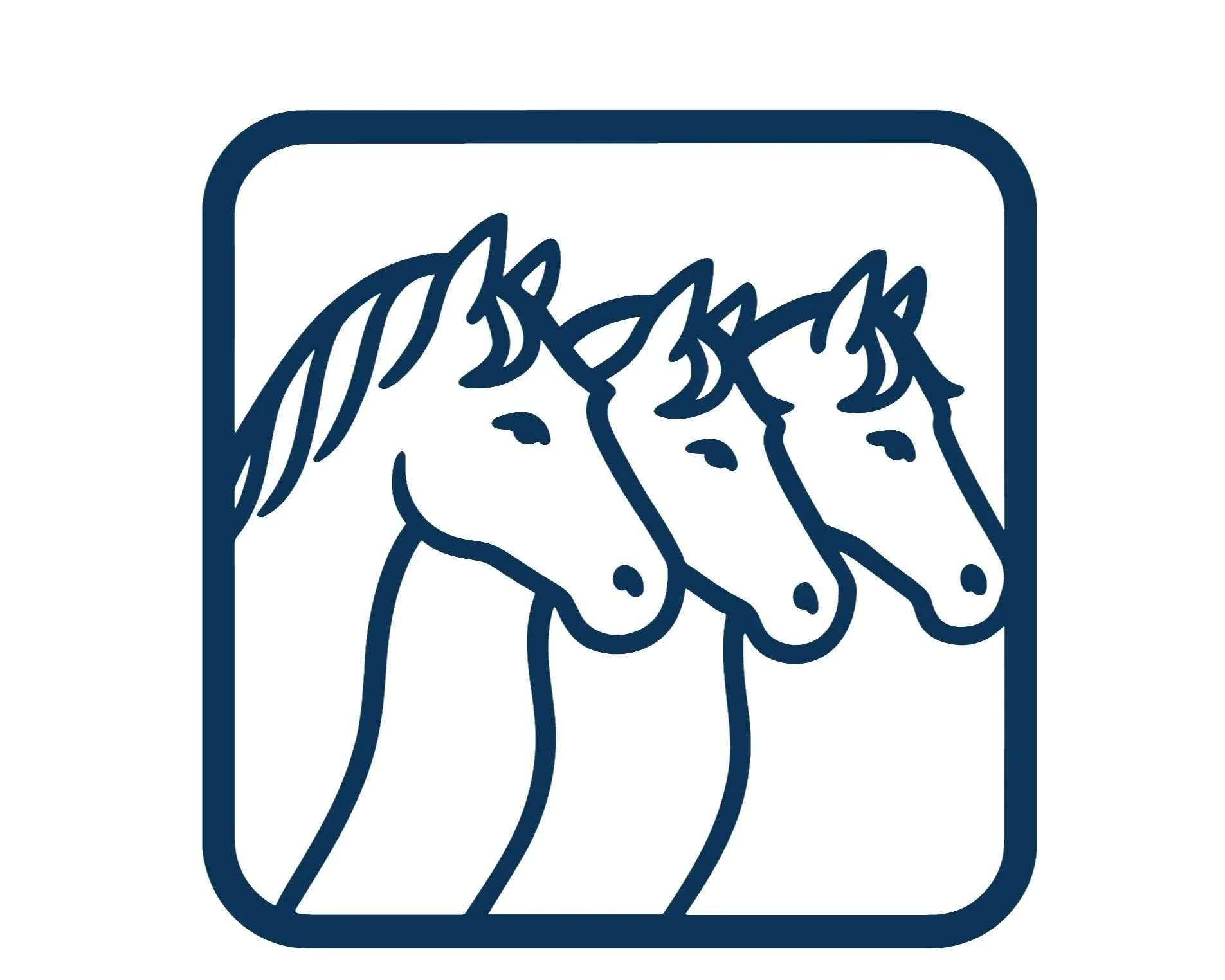 Photos, quirks, behavior flags, tack descriptions, meds, feeding details —synced directly for daily chore tracking.