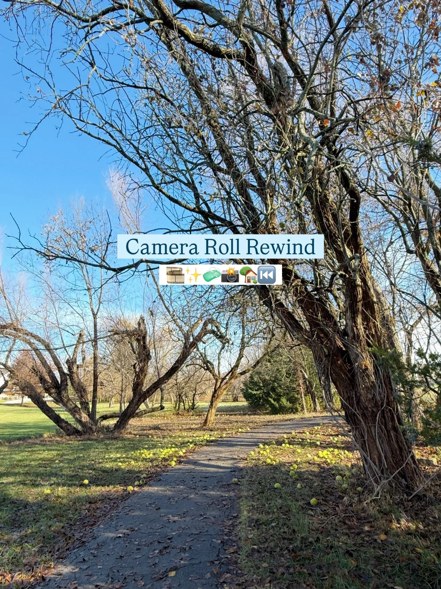 🔙 to Kansas in a few days!

The past week of remodel project related pictures from my camera roll. 
Lots in progress and projects finishing before the end of the year.

#generalcontractor #consturctionwork #homebuilding