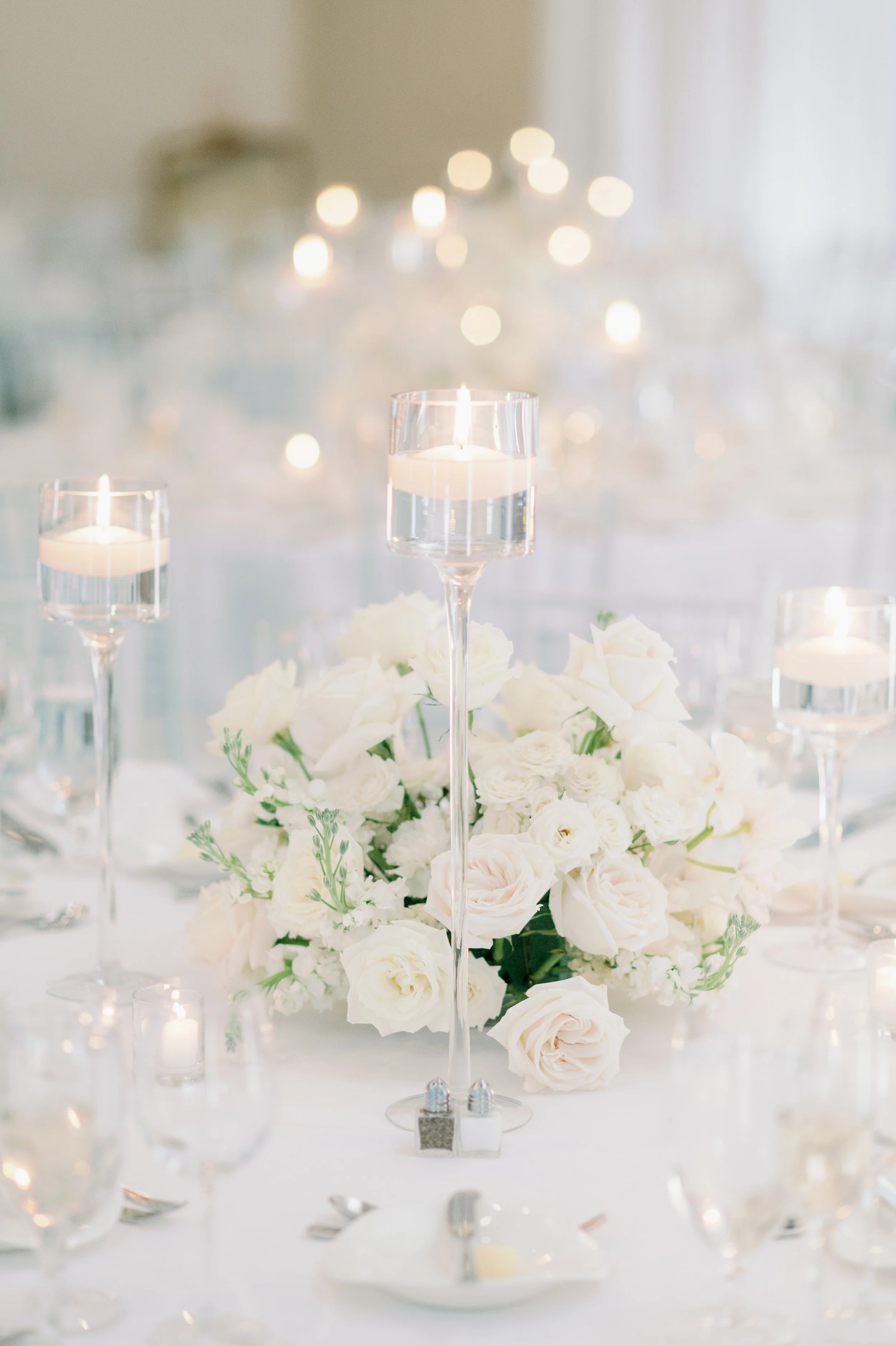 Photo by Jessica Fieden 