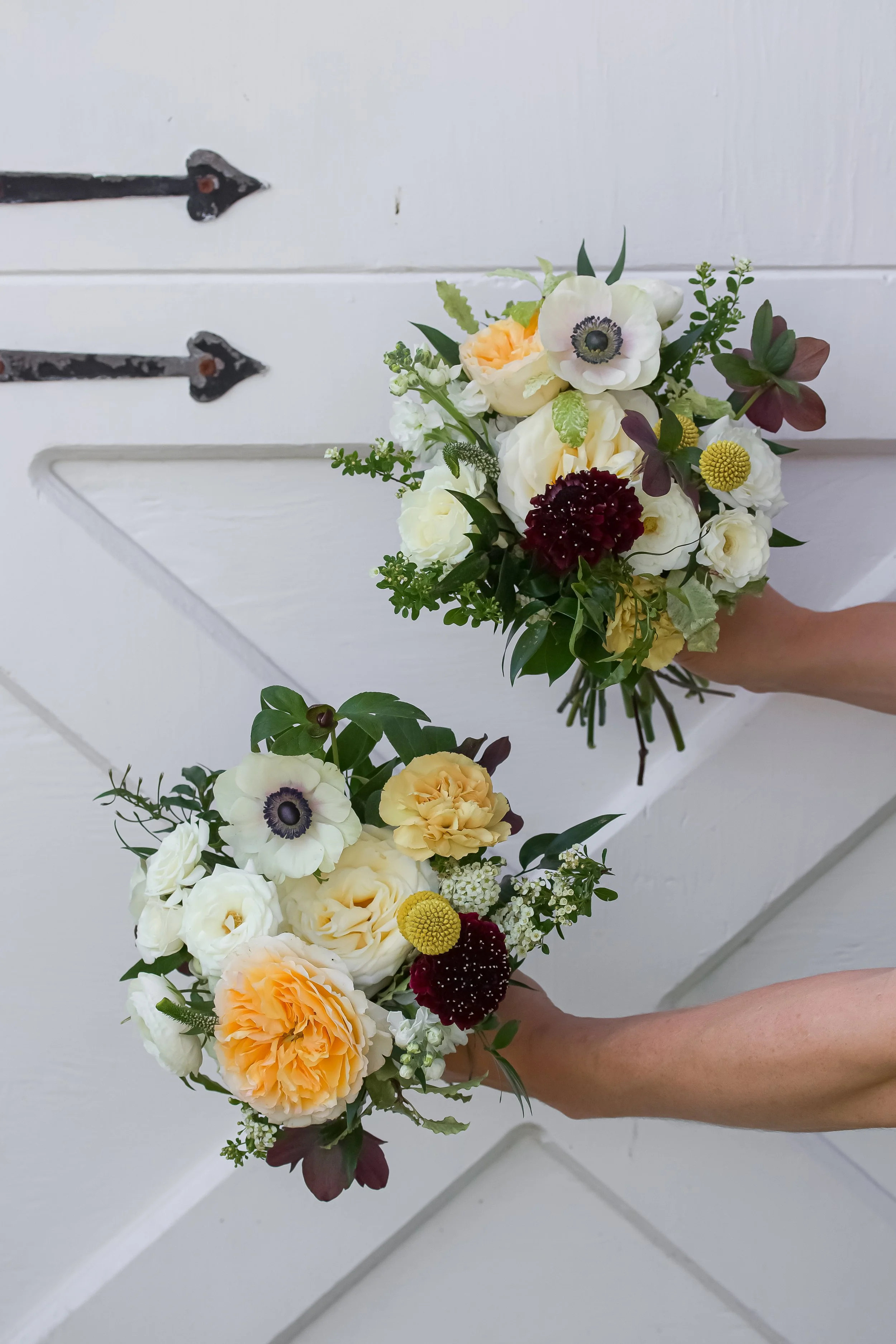 BC269F13-DDAF-4869-B13B-0A4D9FEA6E6E_1_100_o copy.jpg