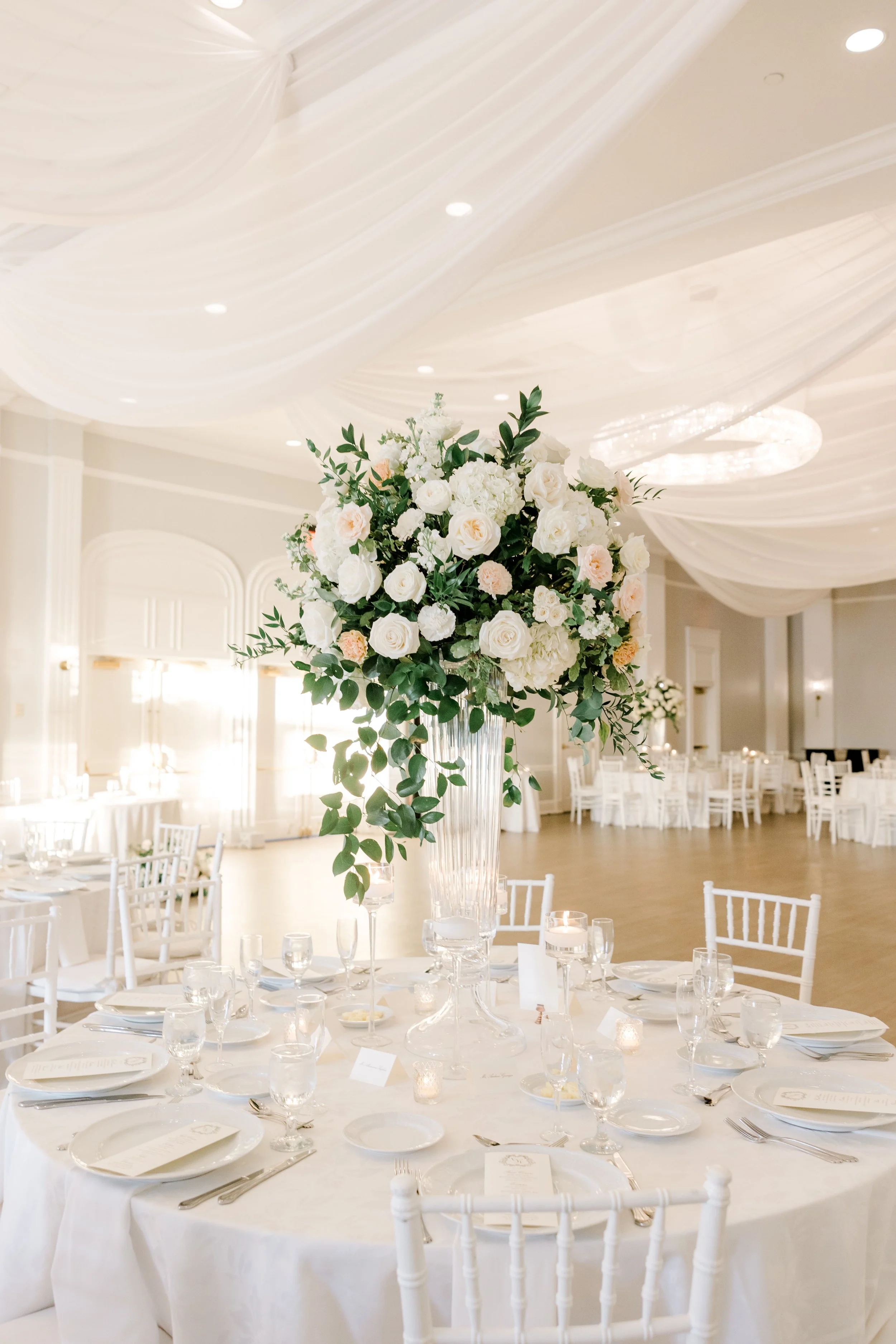 Photo by Sara Zarella 