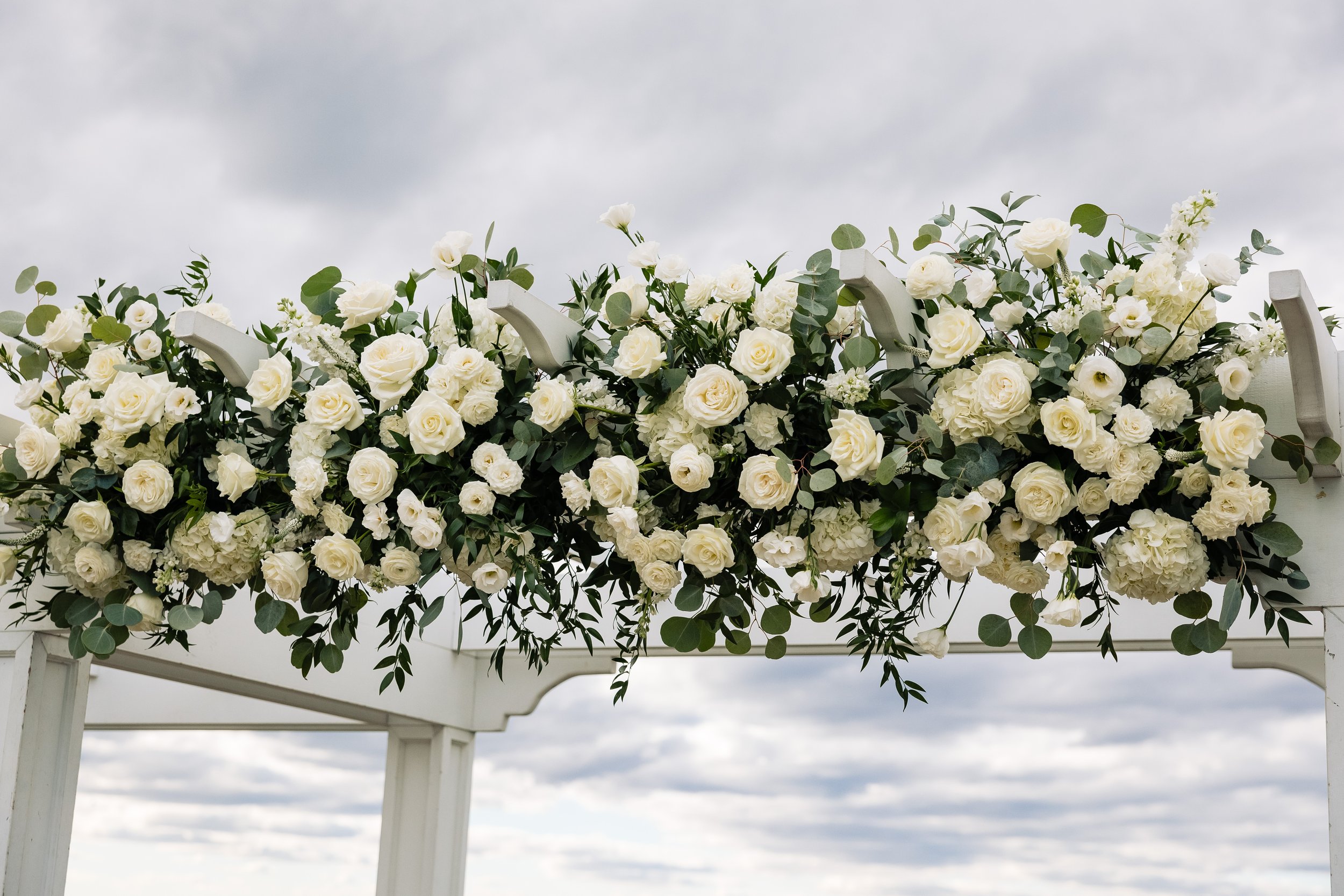 Photo by Stephen Whiting