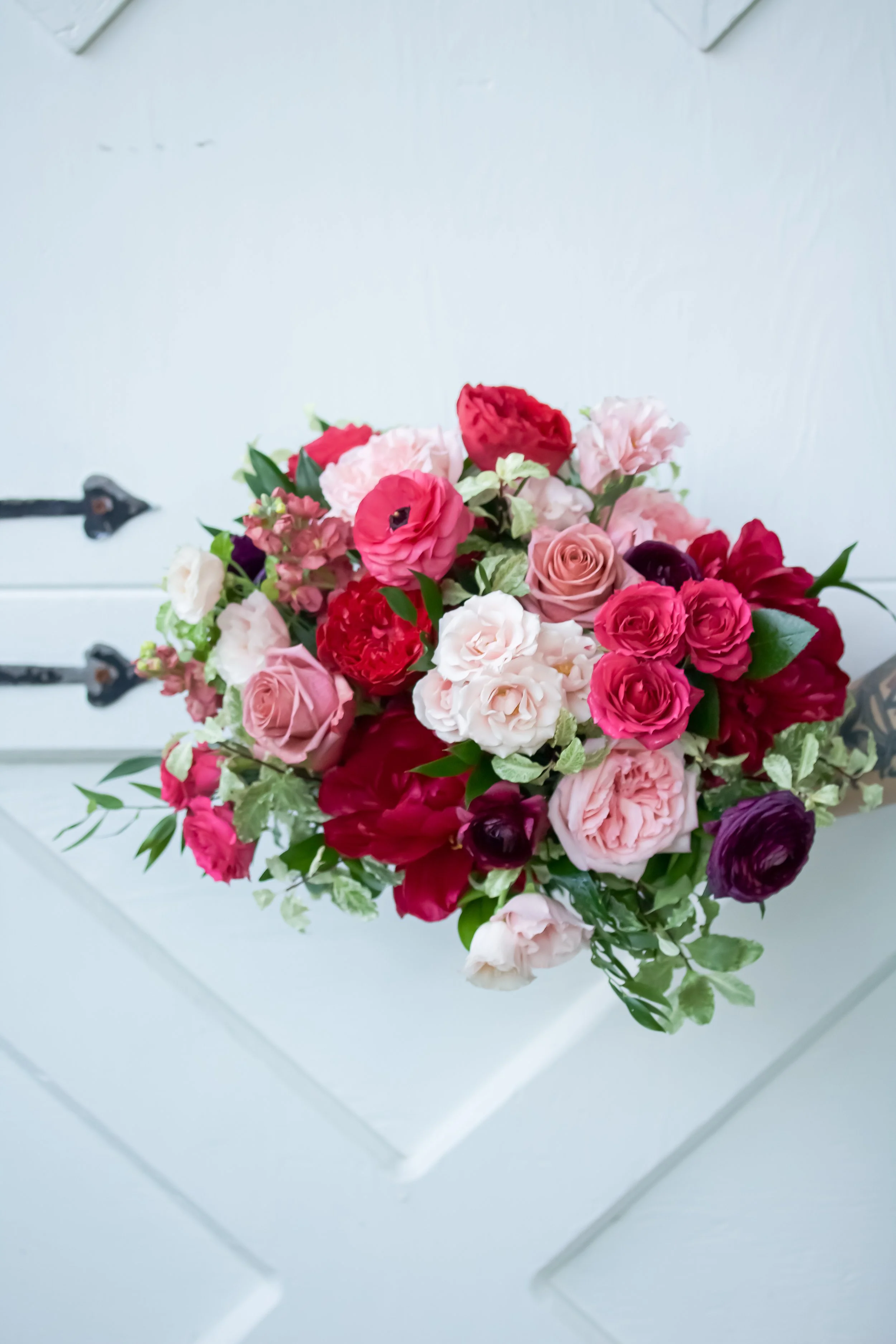 B8FA5093-0733-4FCB-A308-1FF423DB07A4_1_100_o copy.jpg