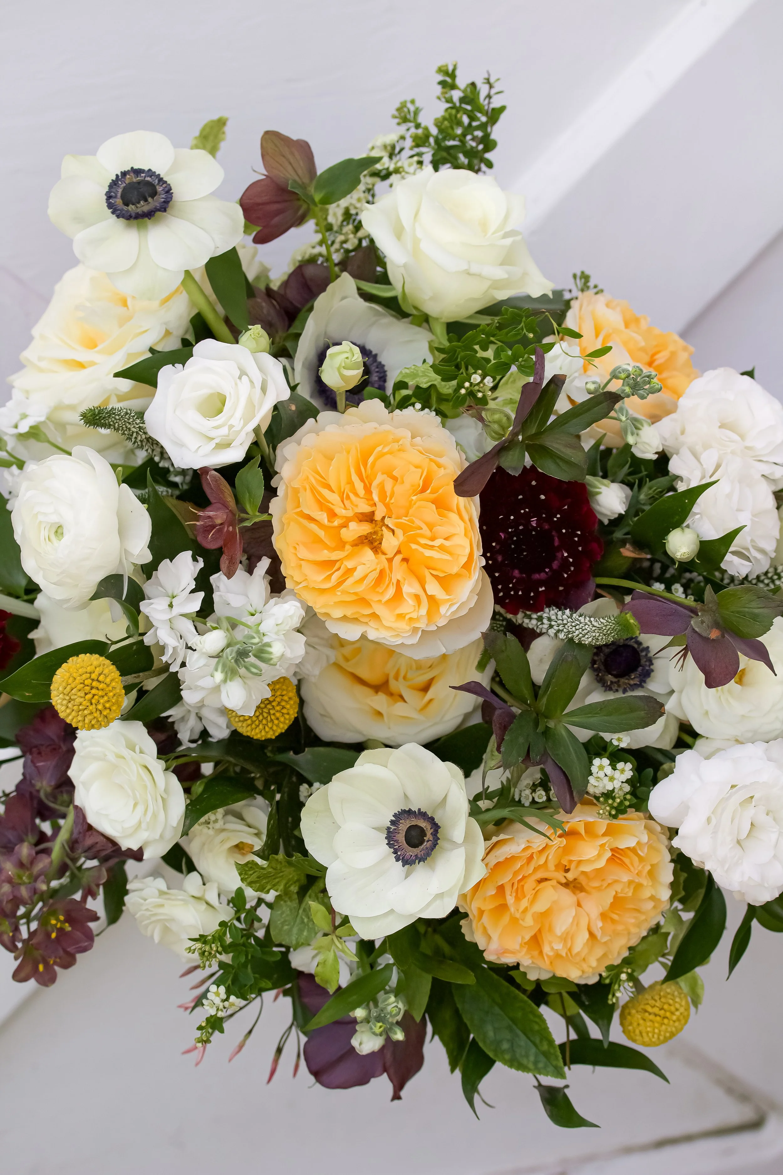 6C19A07F-EA3B-4BDD-8498-51C4EF742186_1_100_o copy.jpg