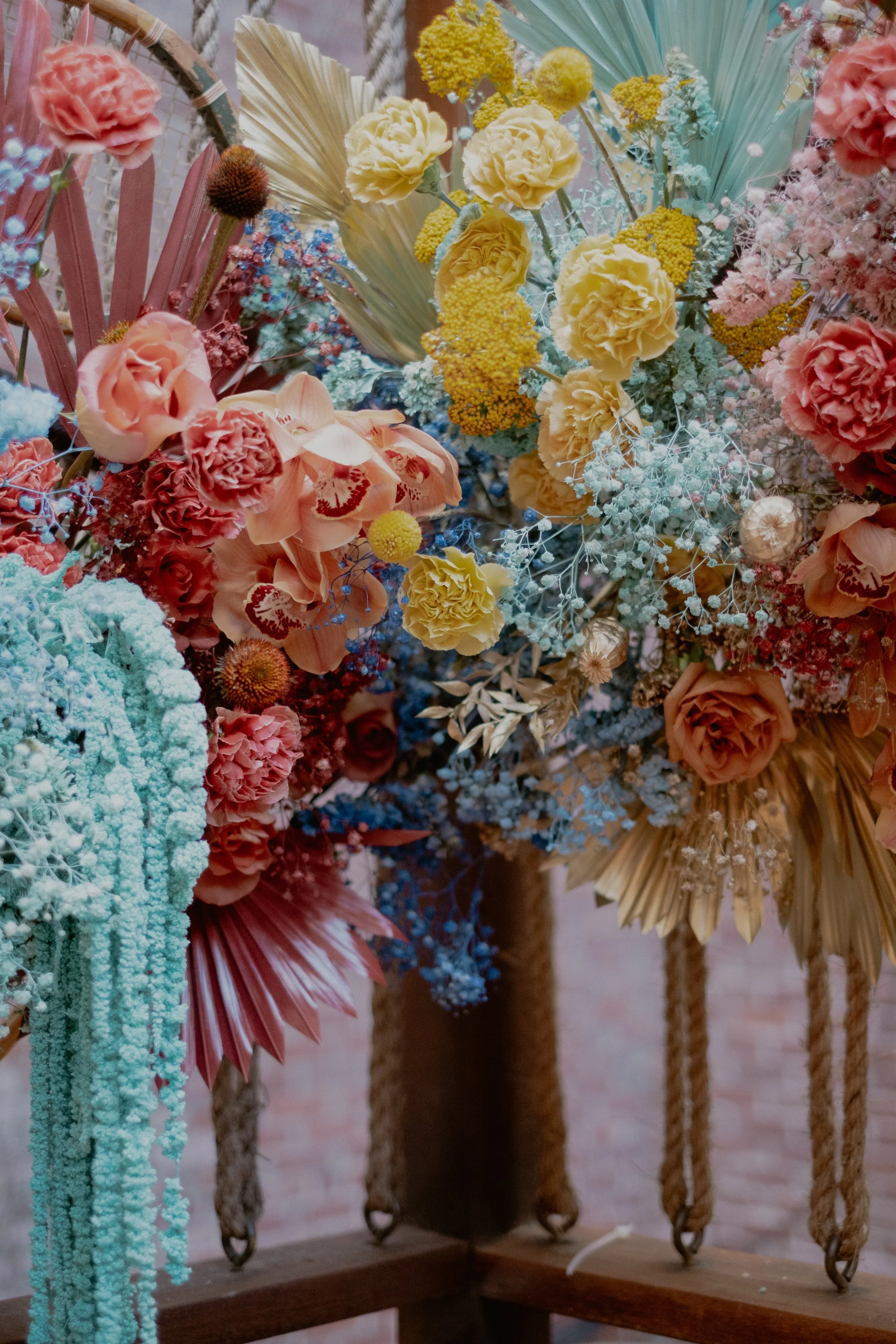 Photo by Chellise Michael 