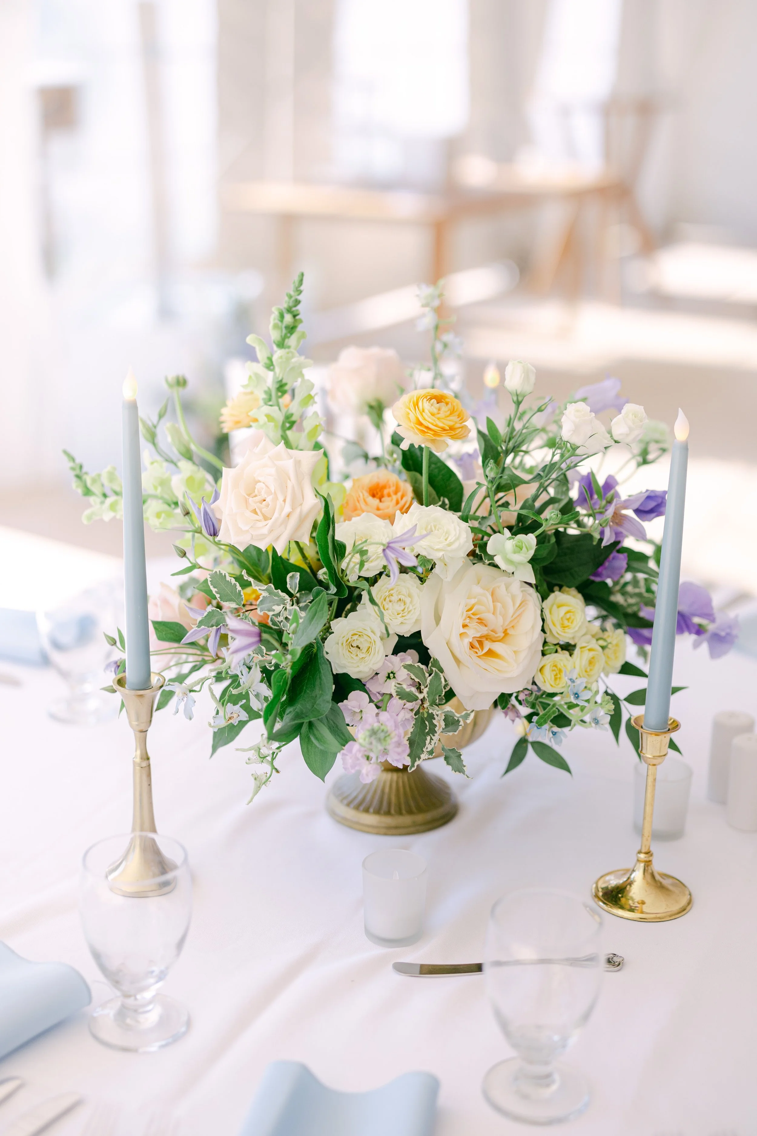 Photo by Roberta Mauro 