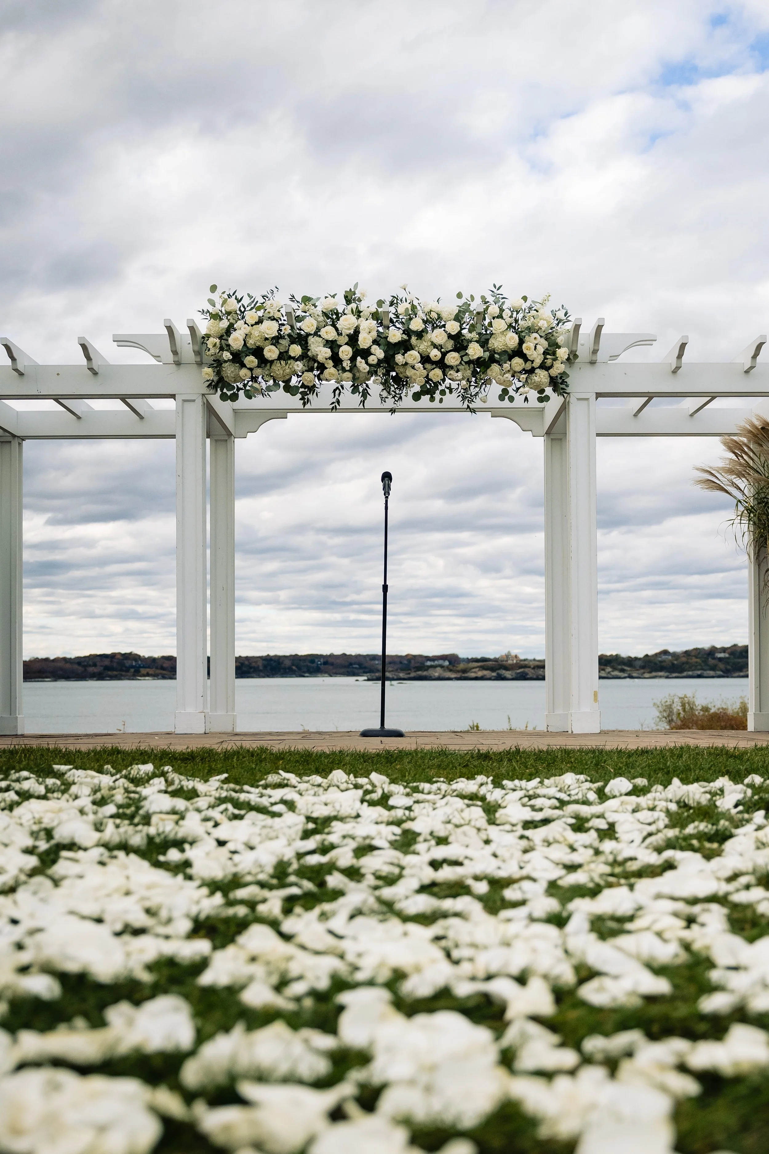 Photo by Stephen Whiting