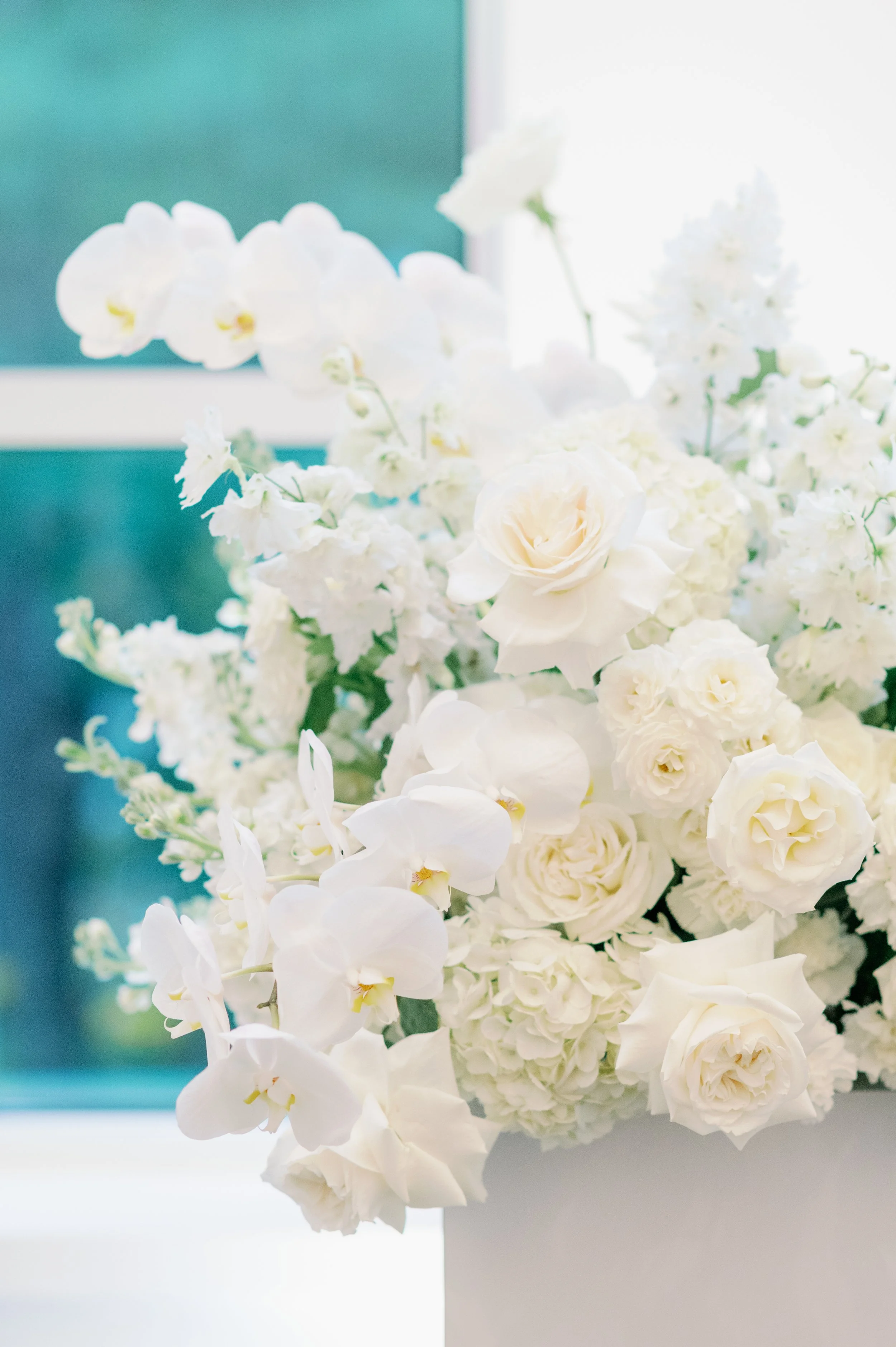 Photo by Jessica Fieden 