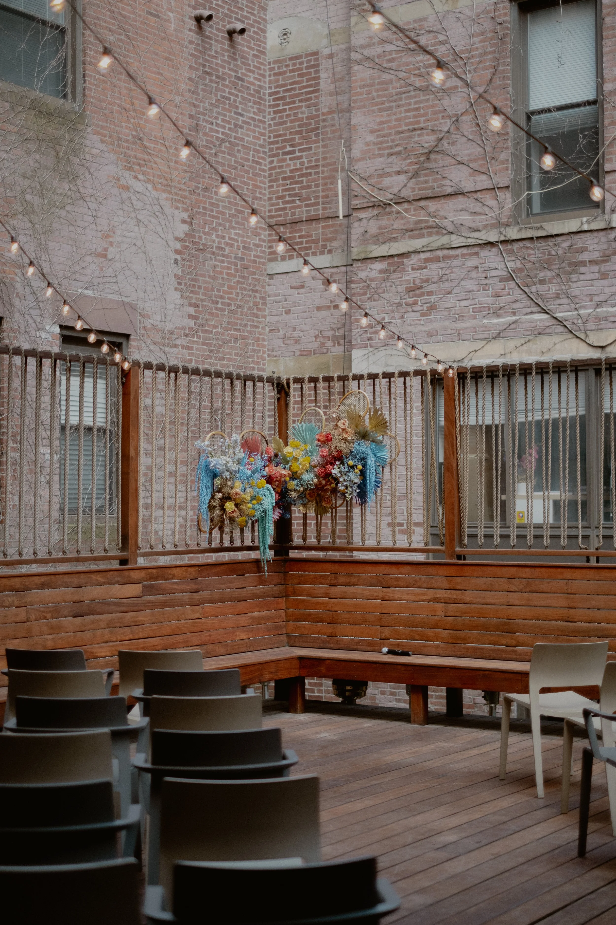 Photo by Chellise Michael 