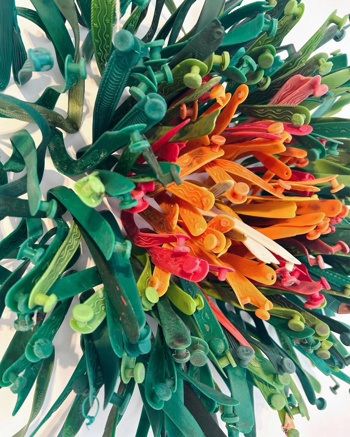 FLIPFLOP FLOWER 2024 (detail)