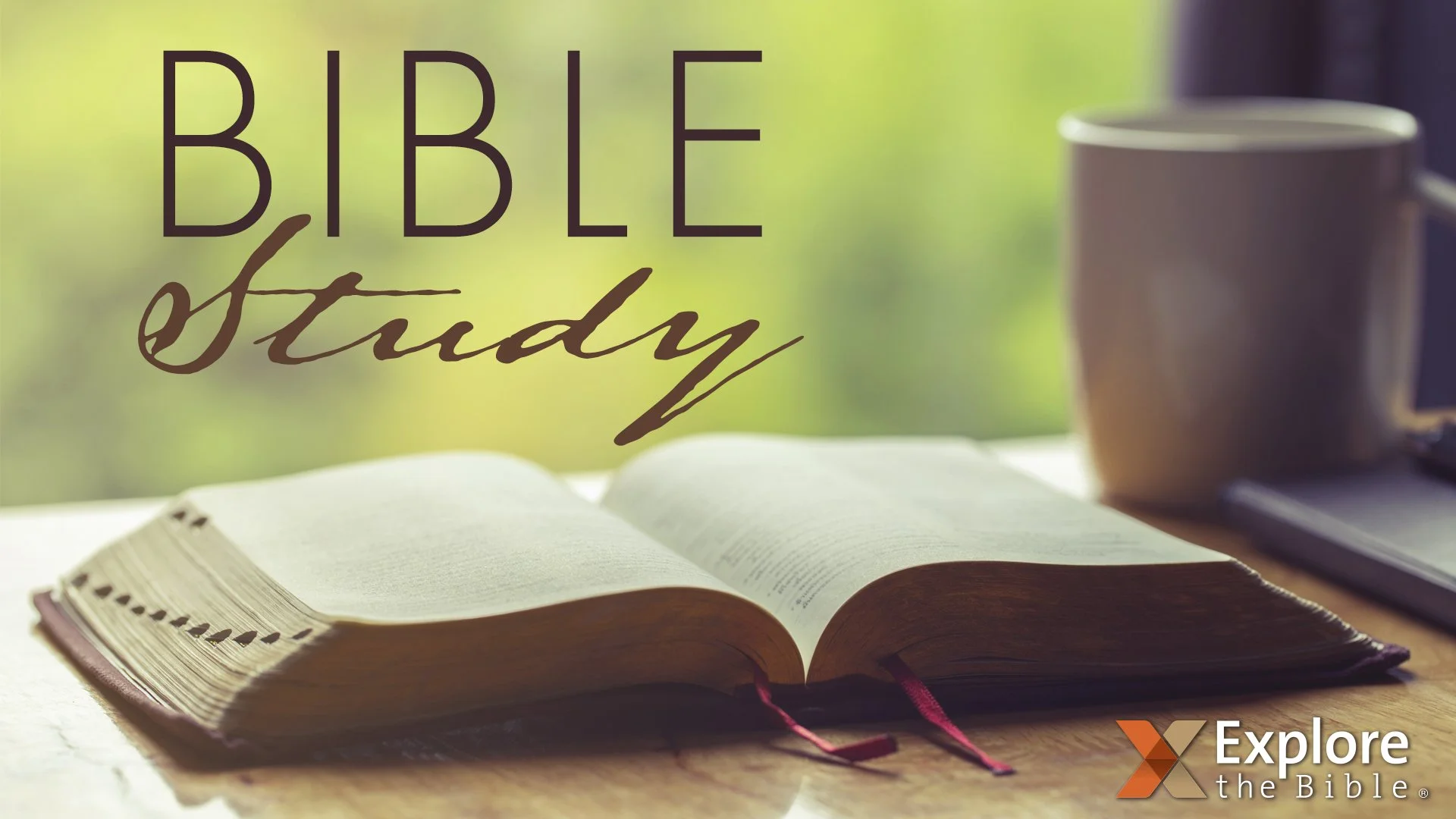 Summer Bible Study 