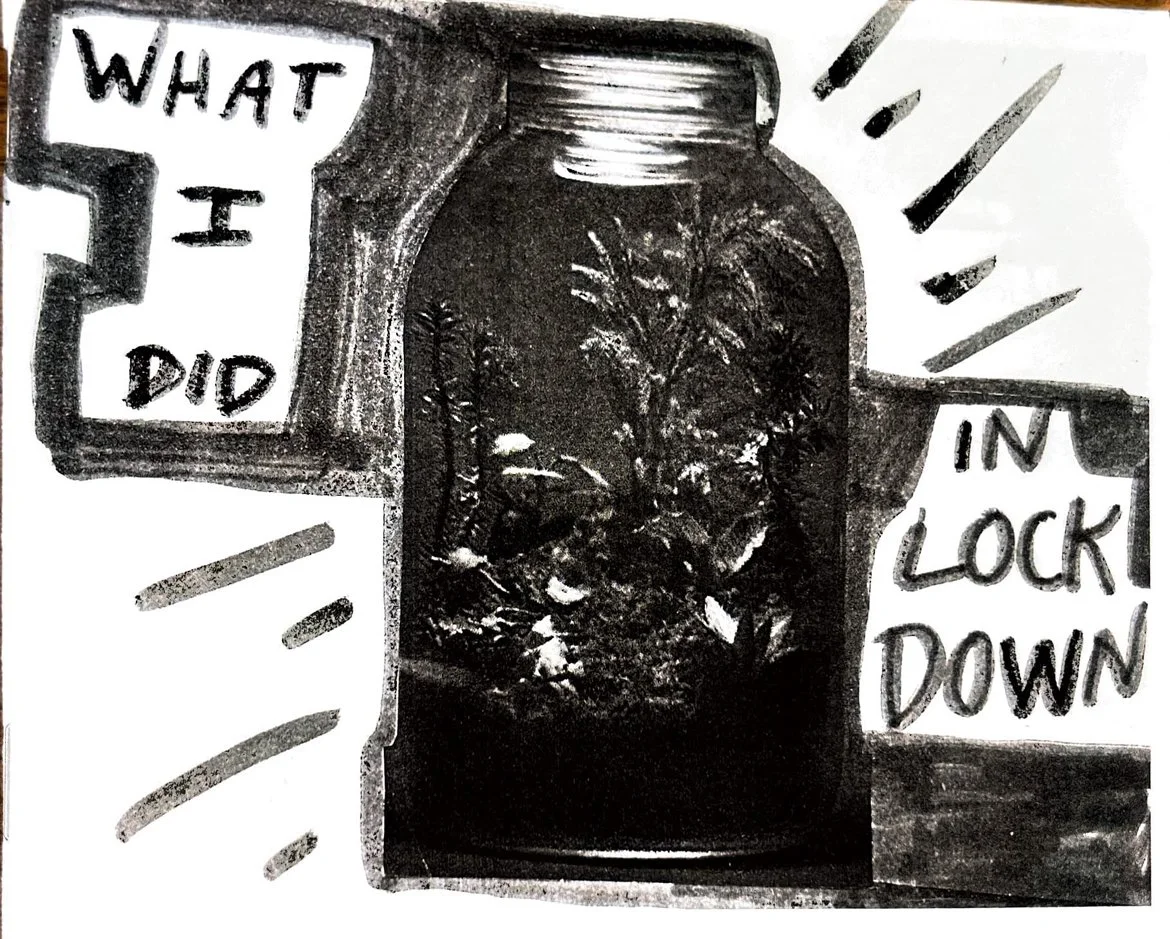 Image of a zine cover with a garden in a jar with the title What i Did In Lockdown.