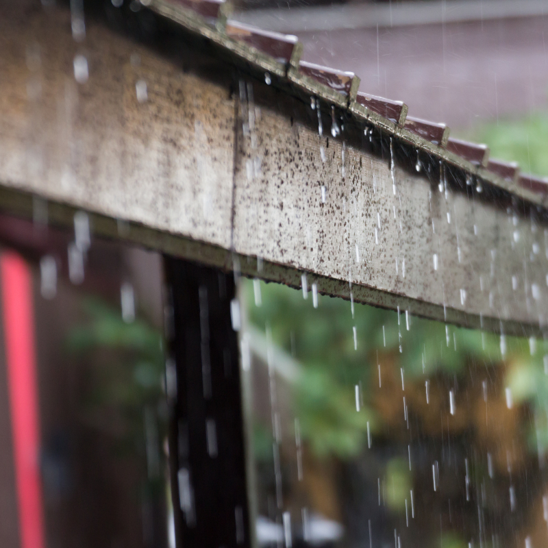 VIDEO: How to Winterize Your House