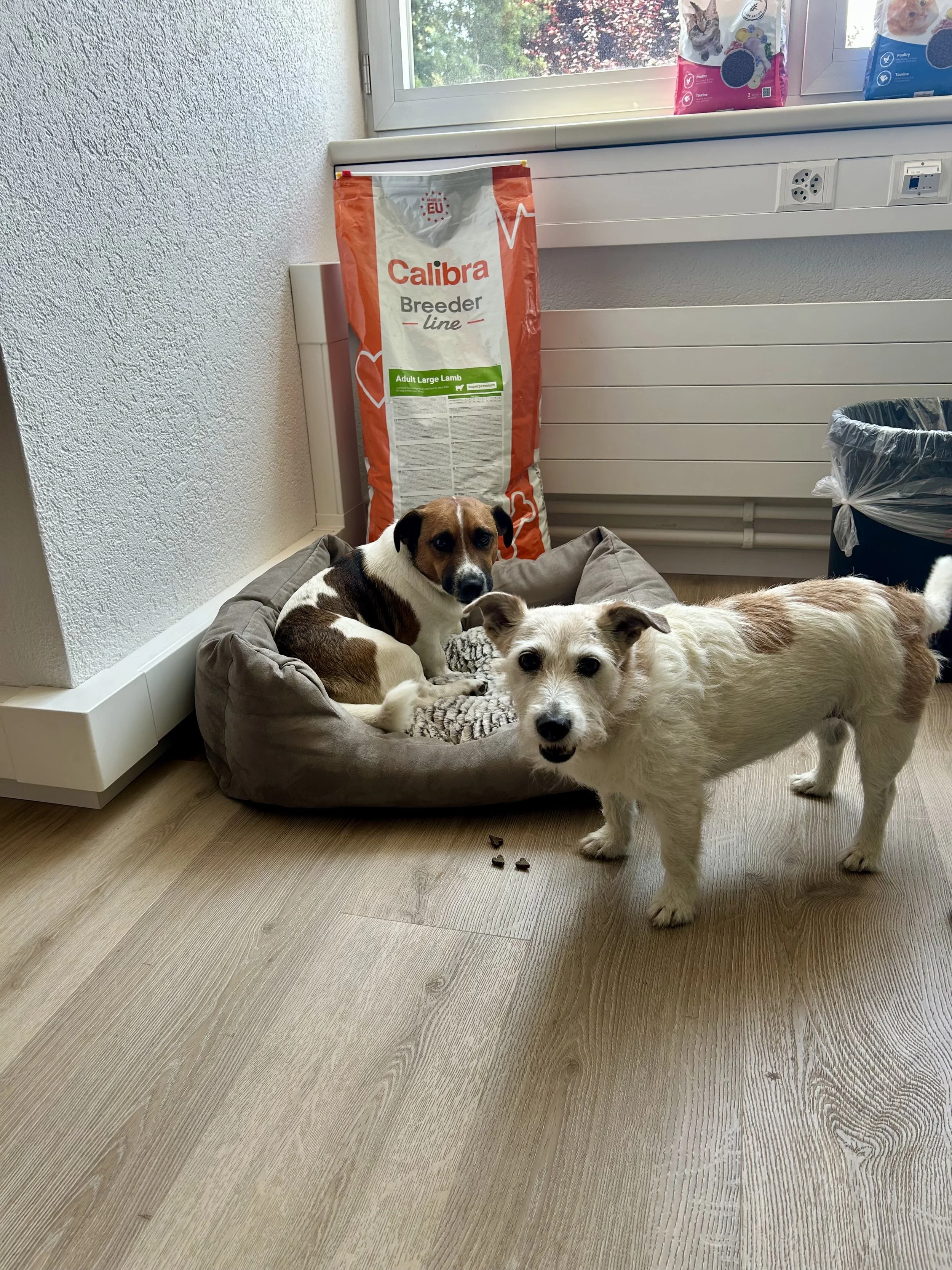 Interview mit Marilen von Covetrus