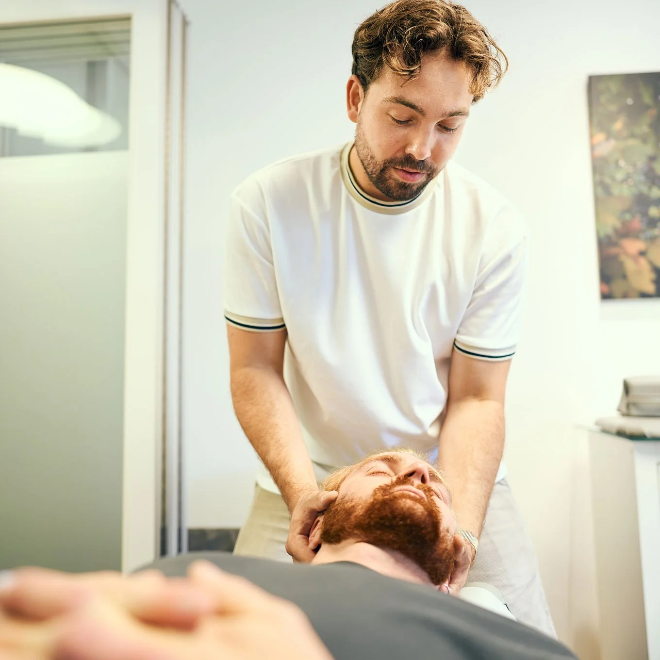 Chiropraxis Landmann