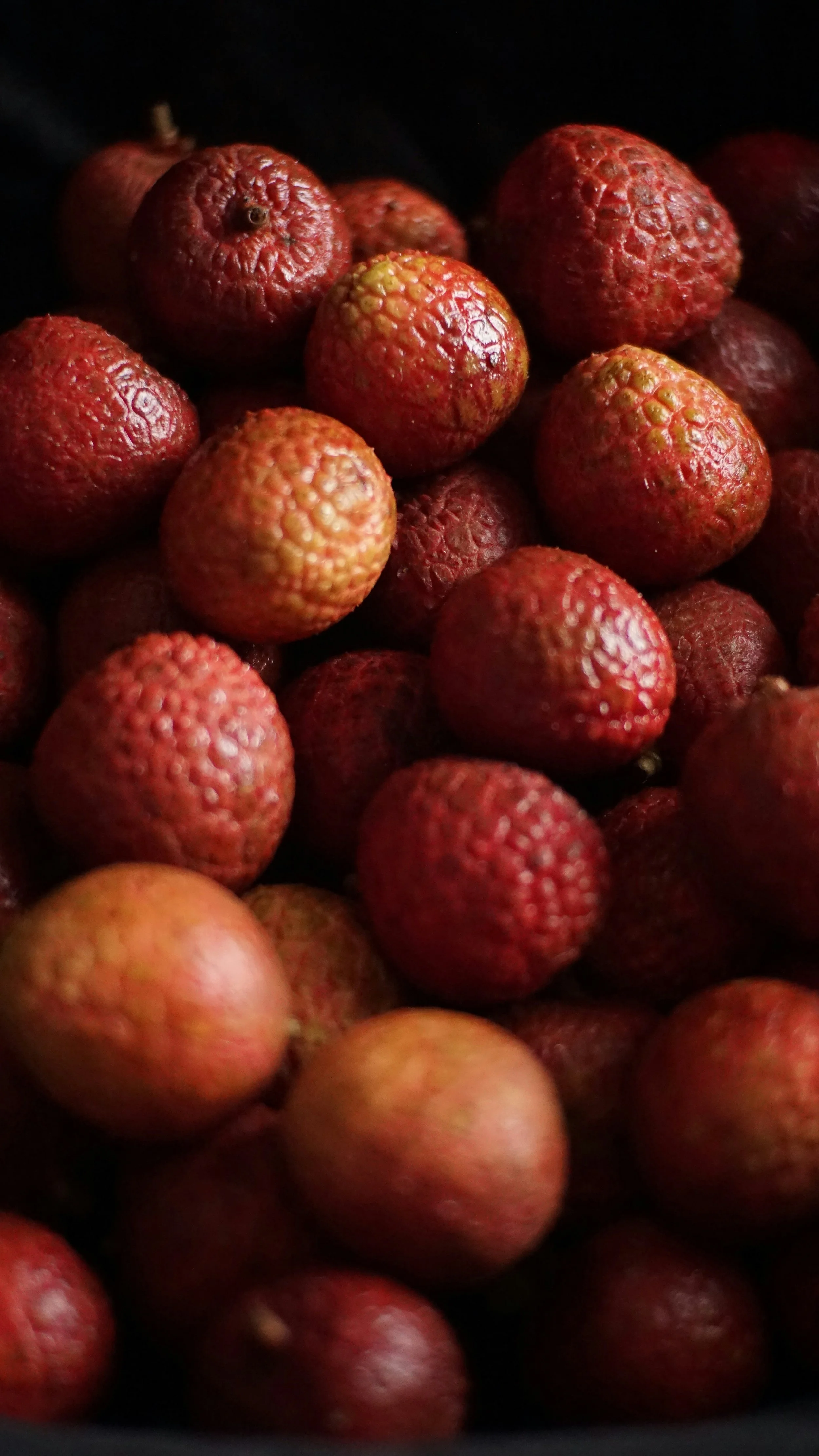 Fruit Texture (1).jpg