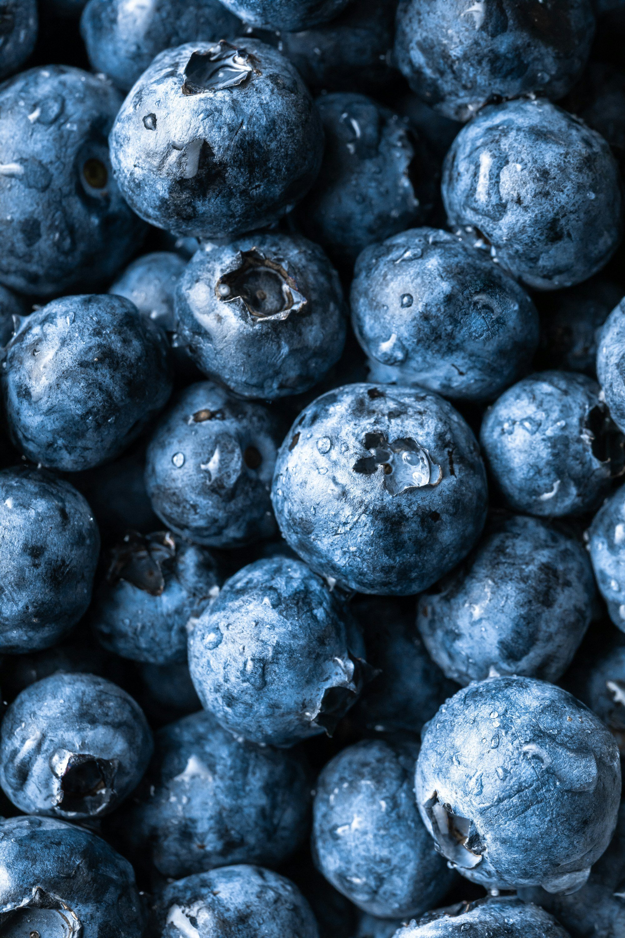 Fruit Texture Image.jpg