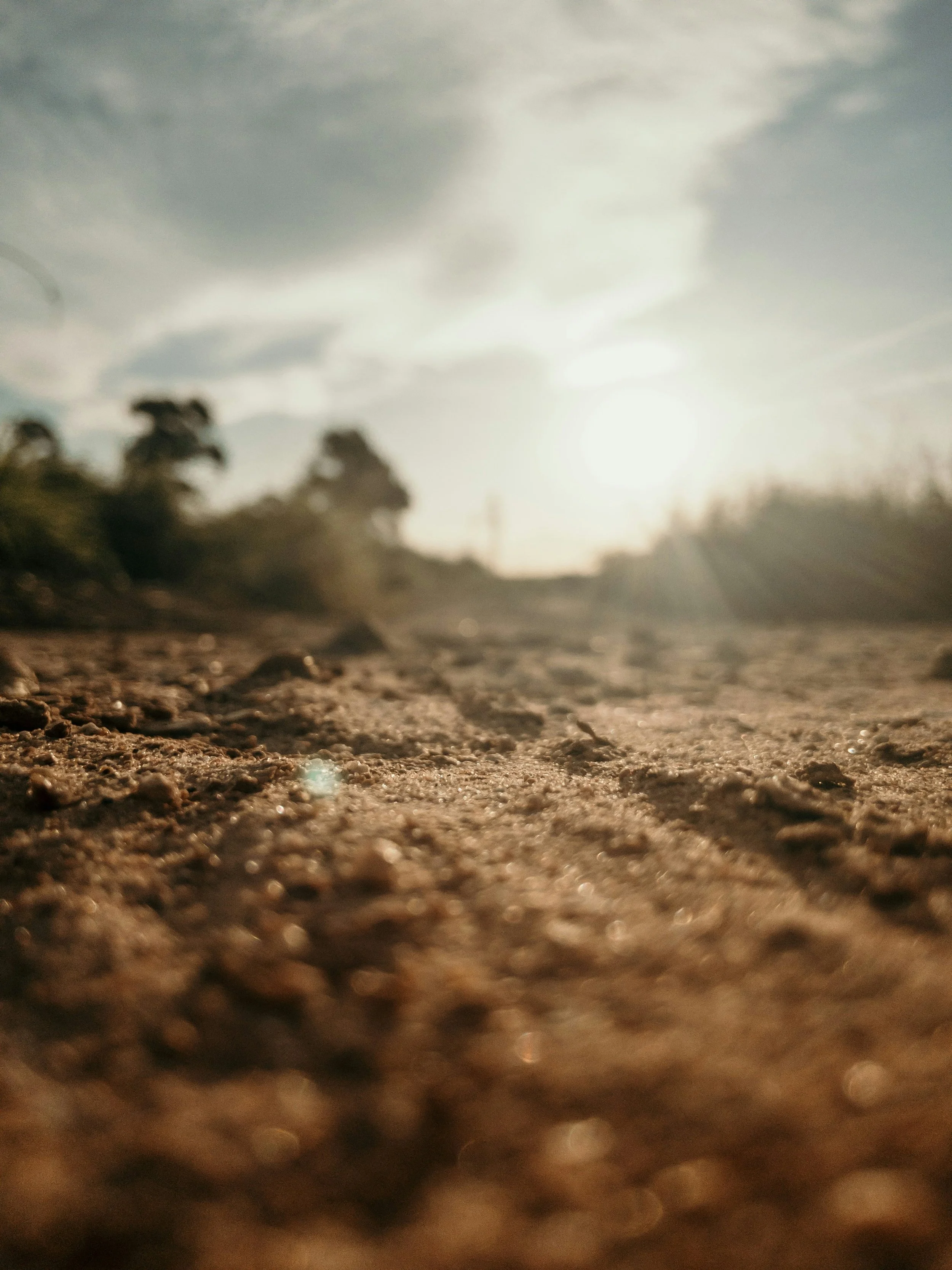 Soil Picture from Unsplash (1).jpg