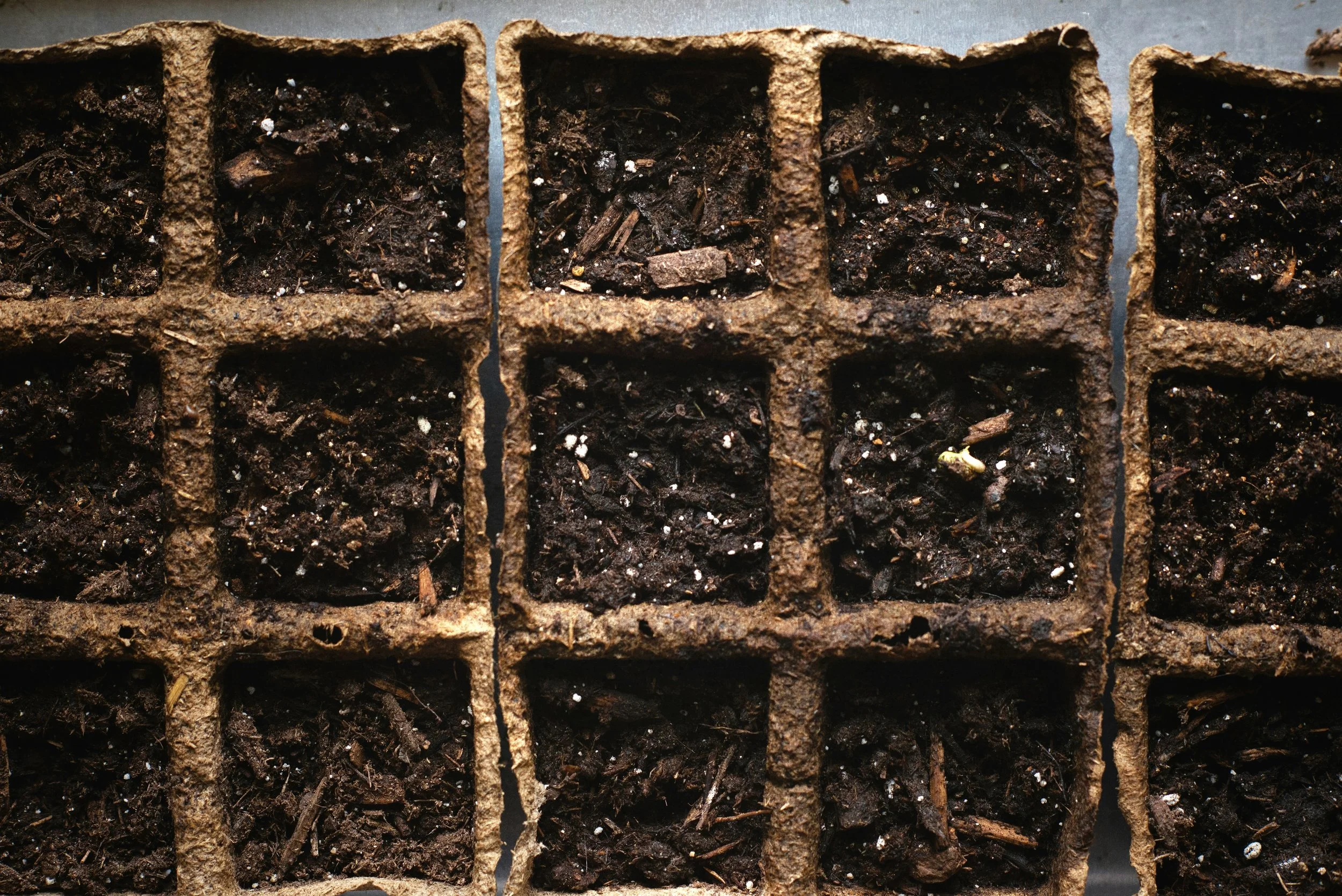 Soil Picture from Unsplash (3).jpg