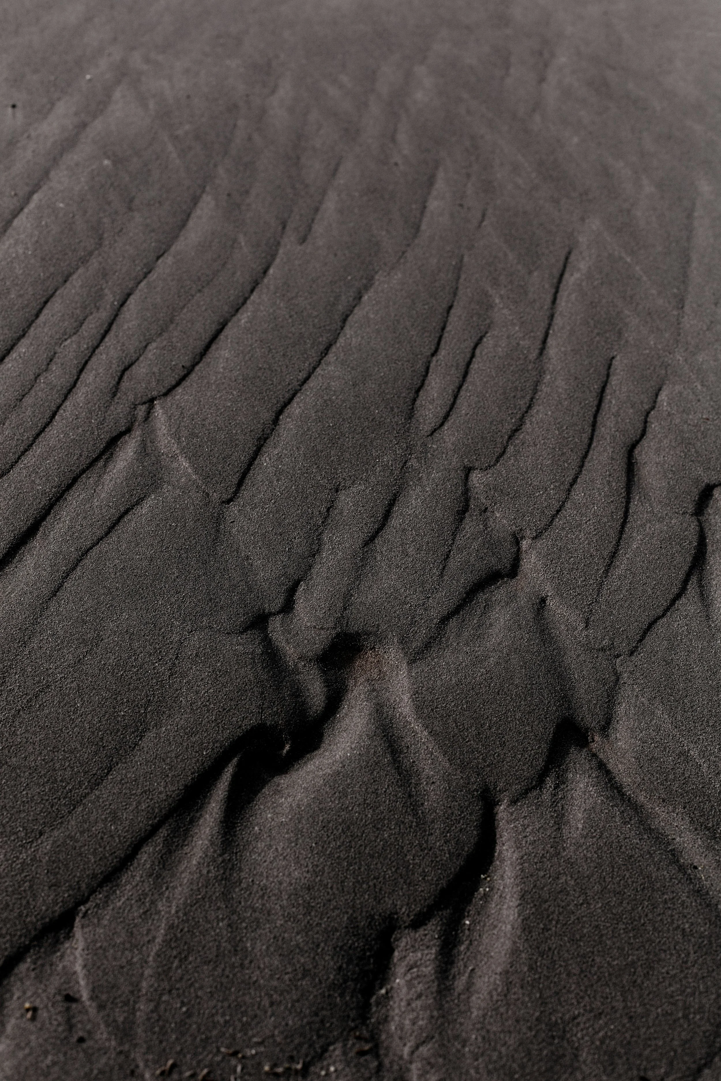 Soil Picture from Unsplash (4).jpg
