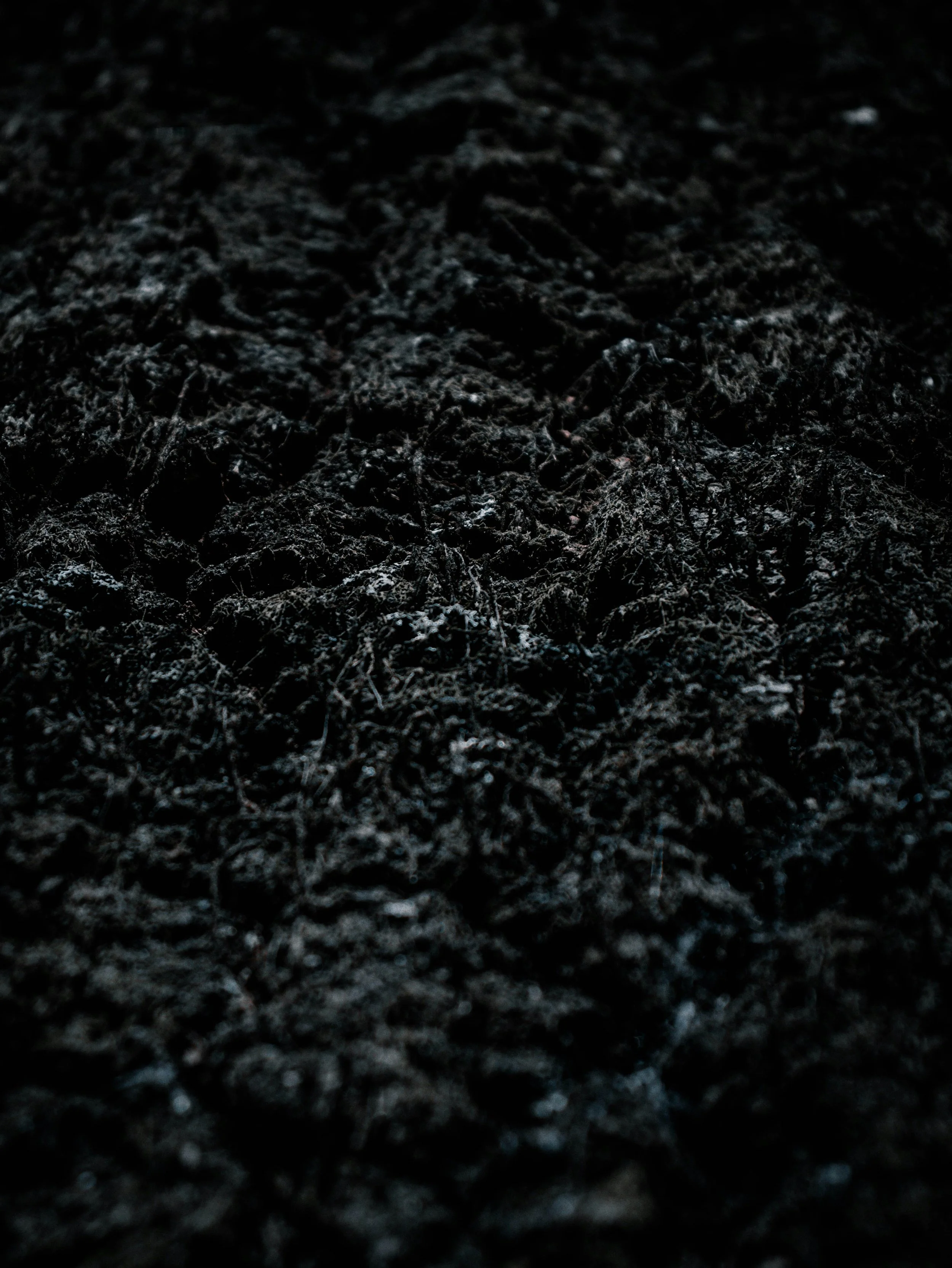 Soil Texture Image.jpg