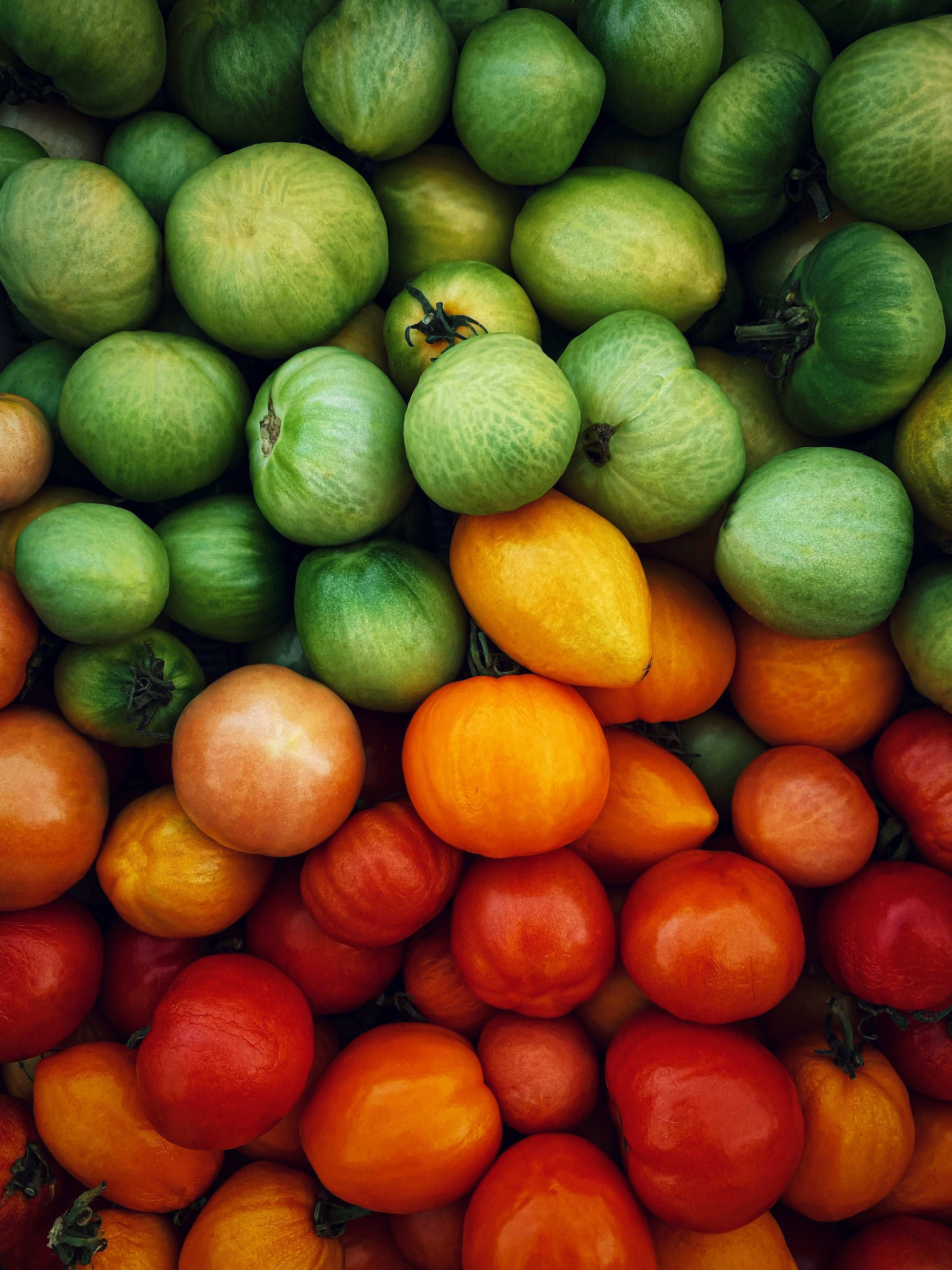 Vegetable Texture (2).jpg