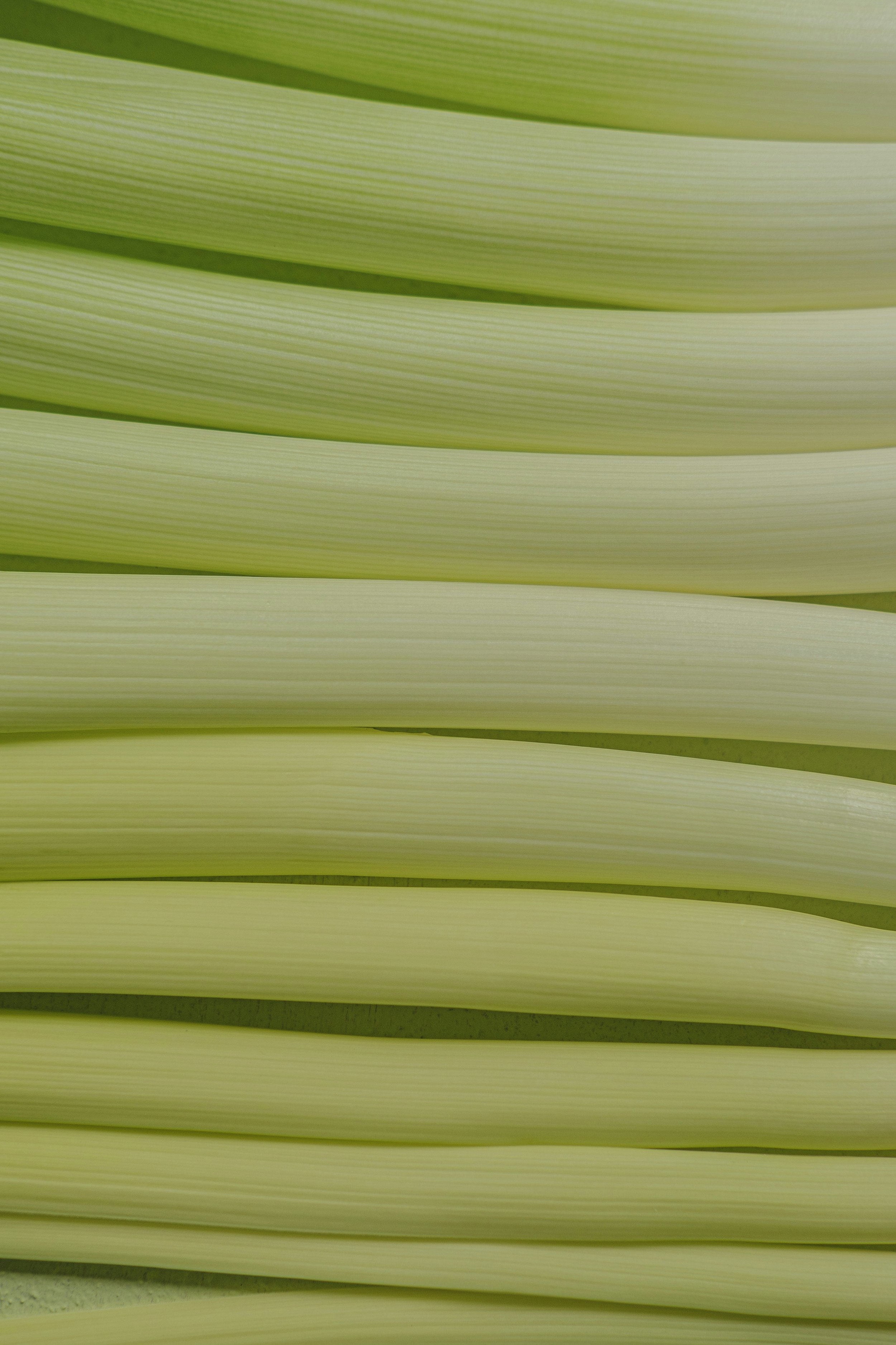 Vegetable Texture (4).jpg