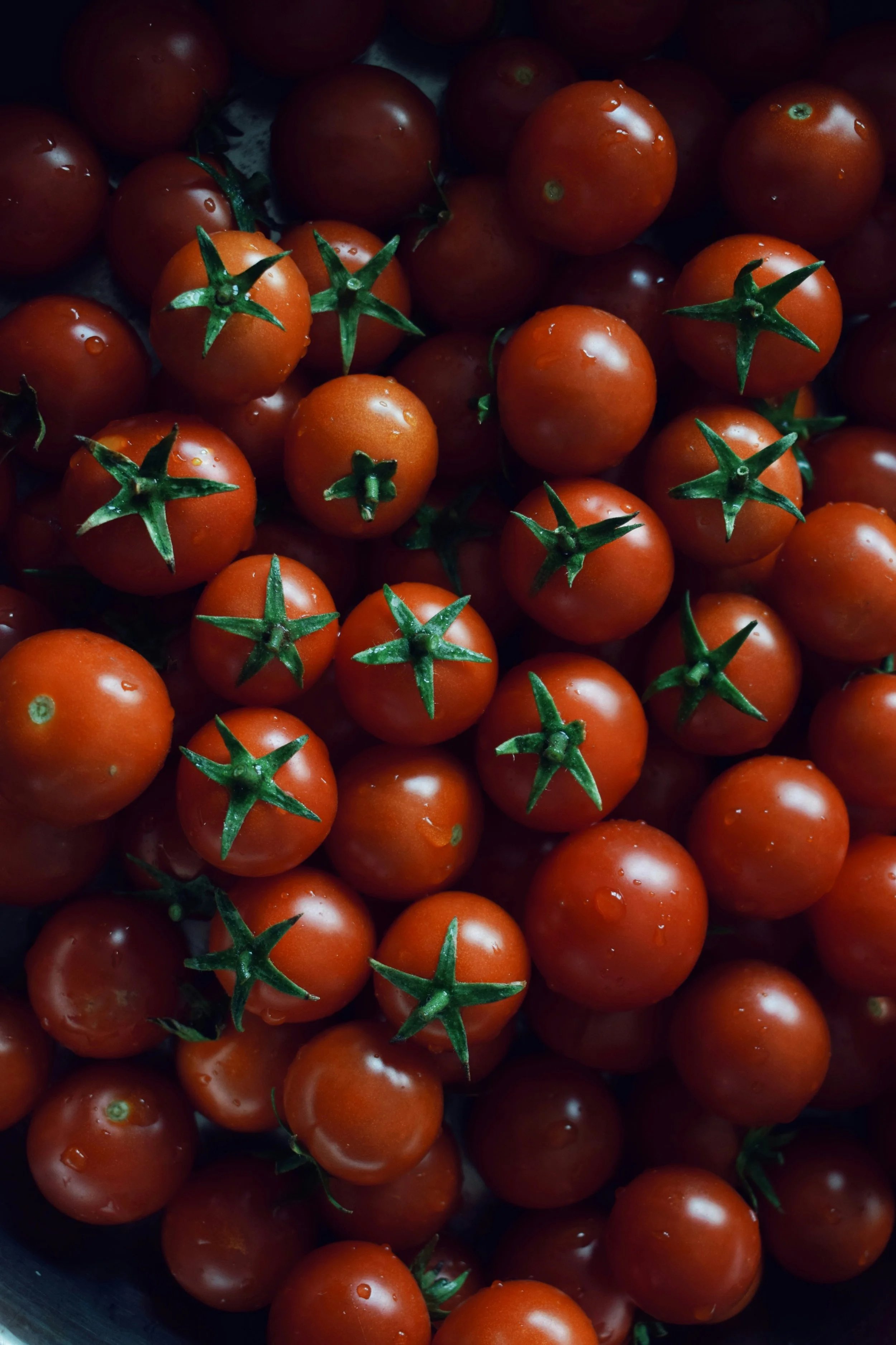 Vegetable Texture (8).jpg