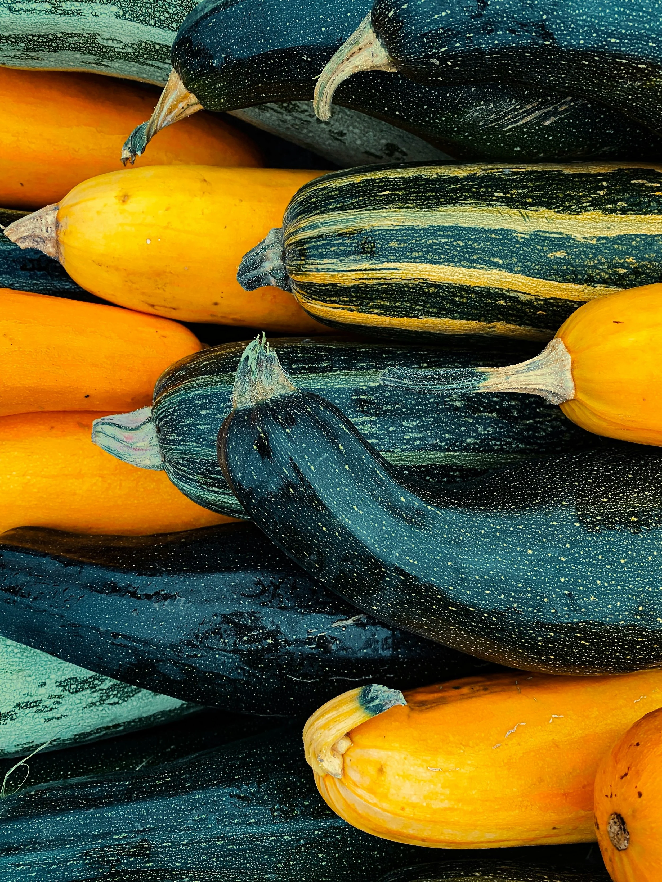 Vegetable Texture (9).jpg