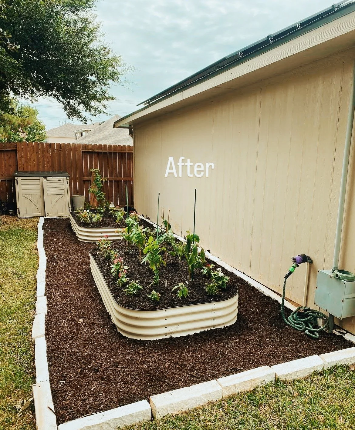 A Backyard Bed