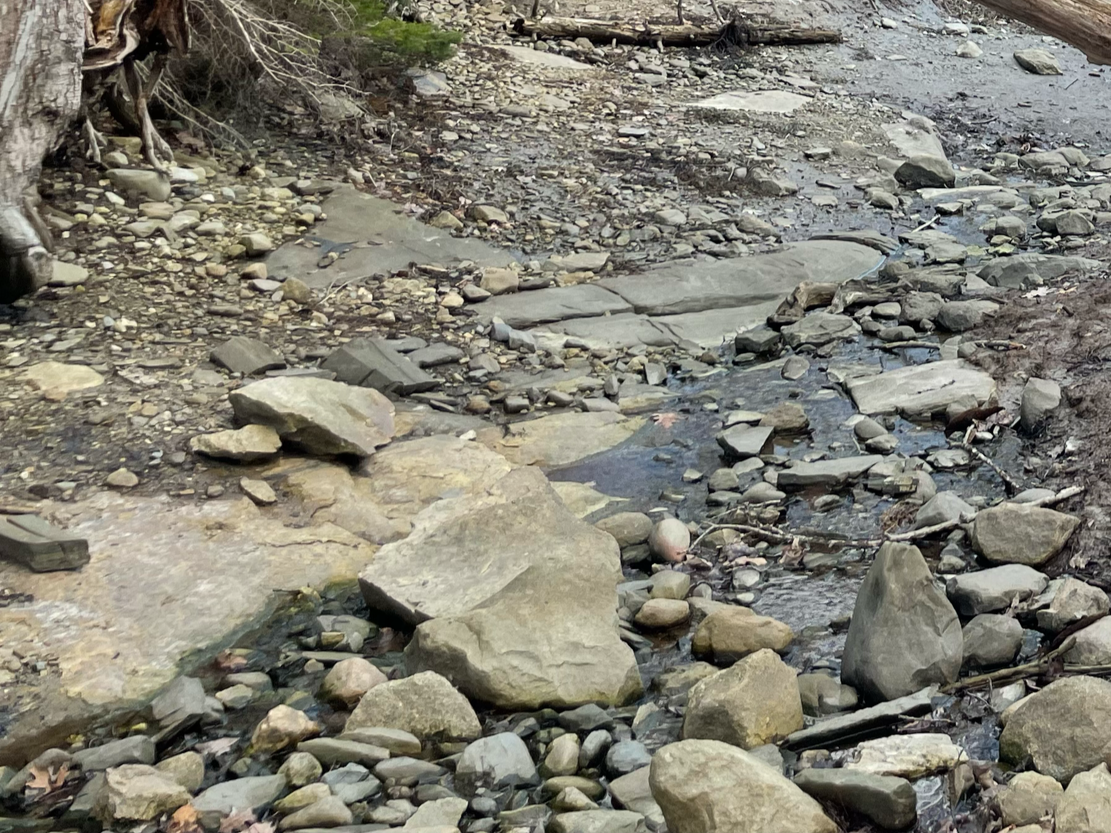 Emotional Lives on the Water and in the Woods (community discussion)