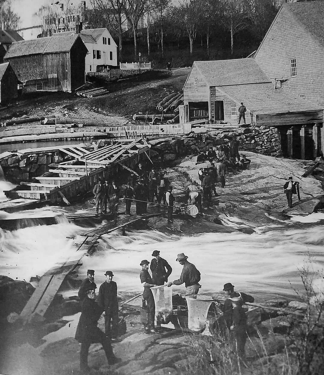 Re-Voicing the River (community discussion)