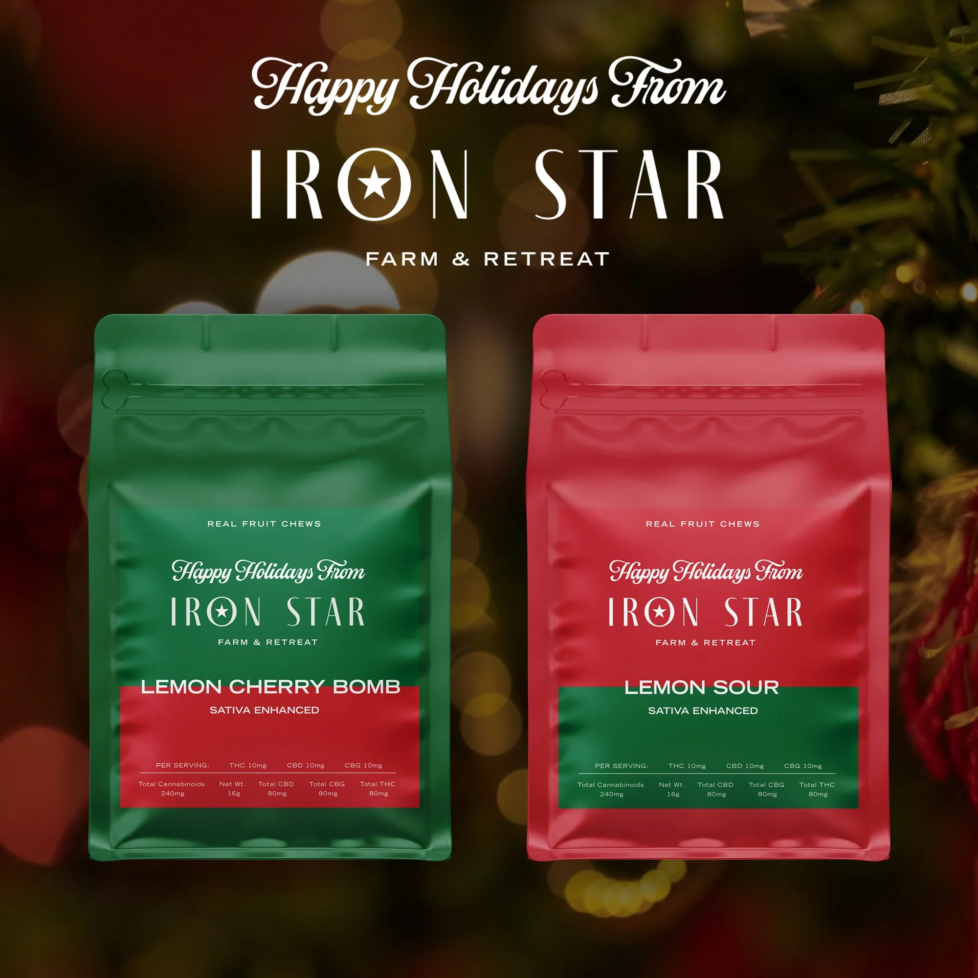 IronStar-Holiday.jpg