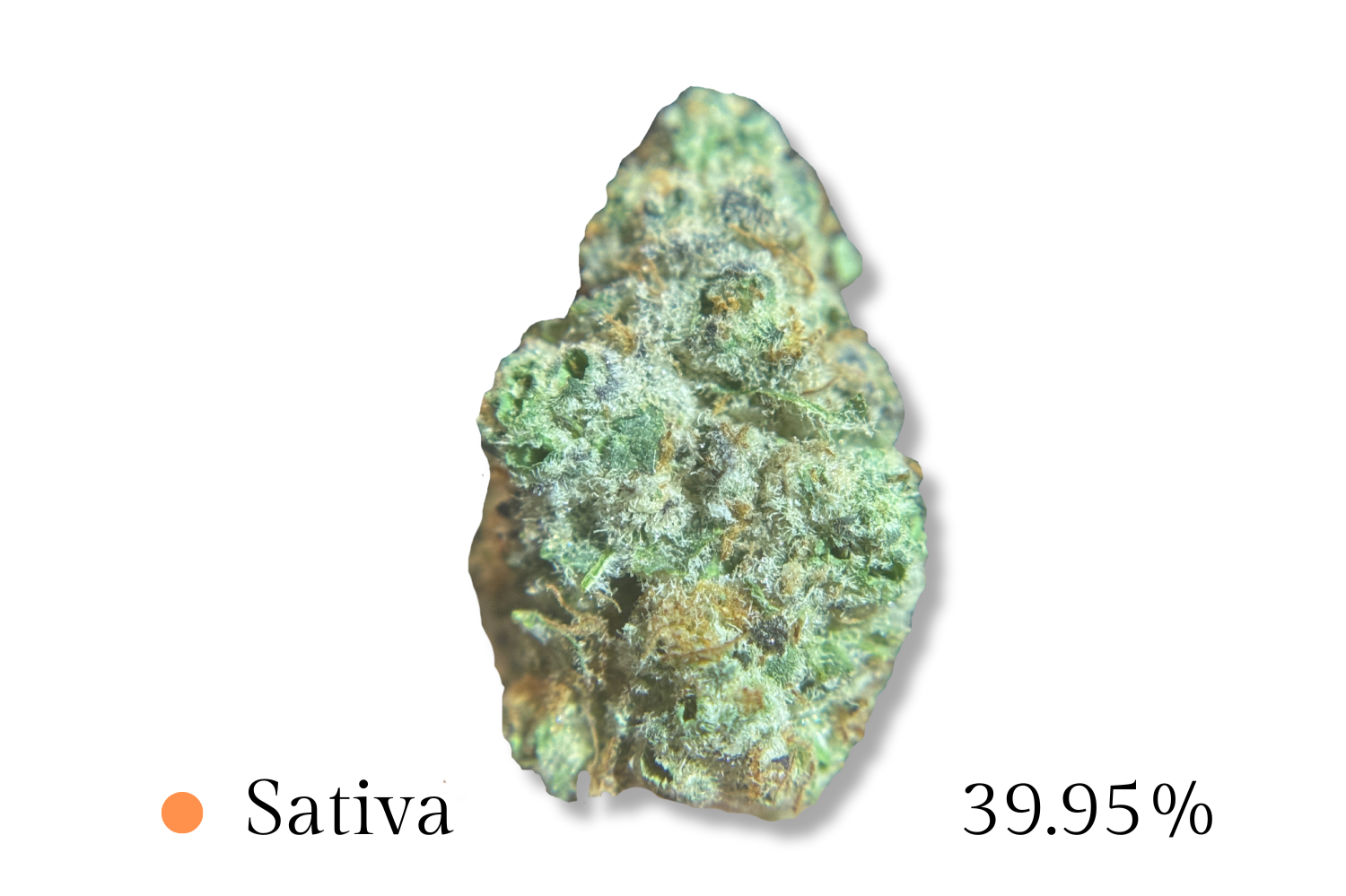 Grape Stomper