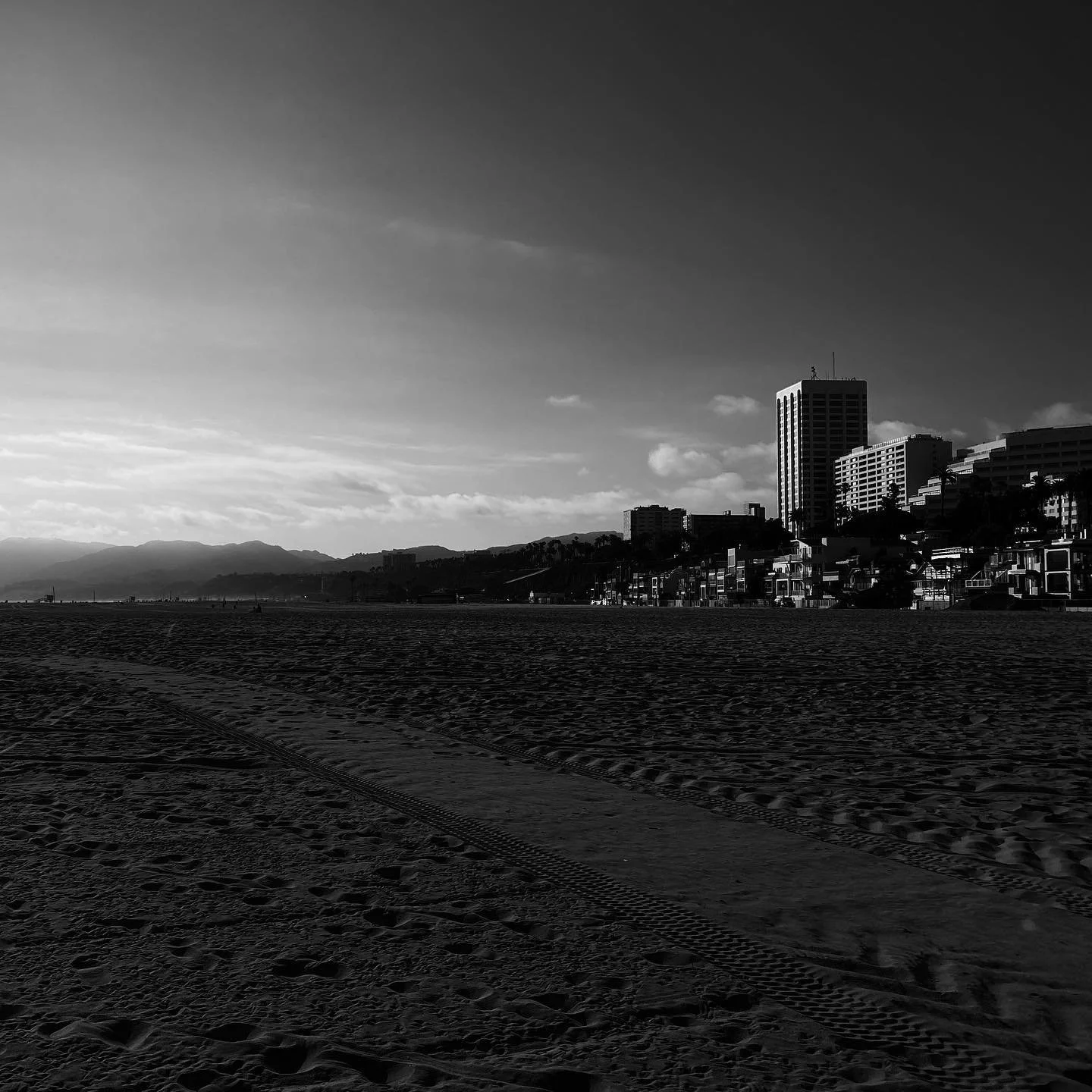 Noir Sunset
