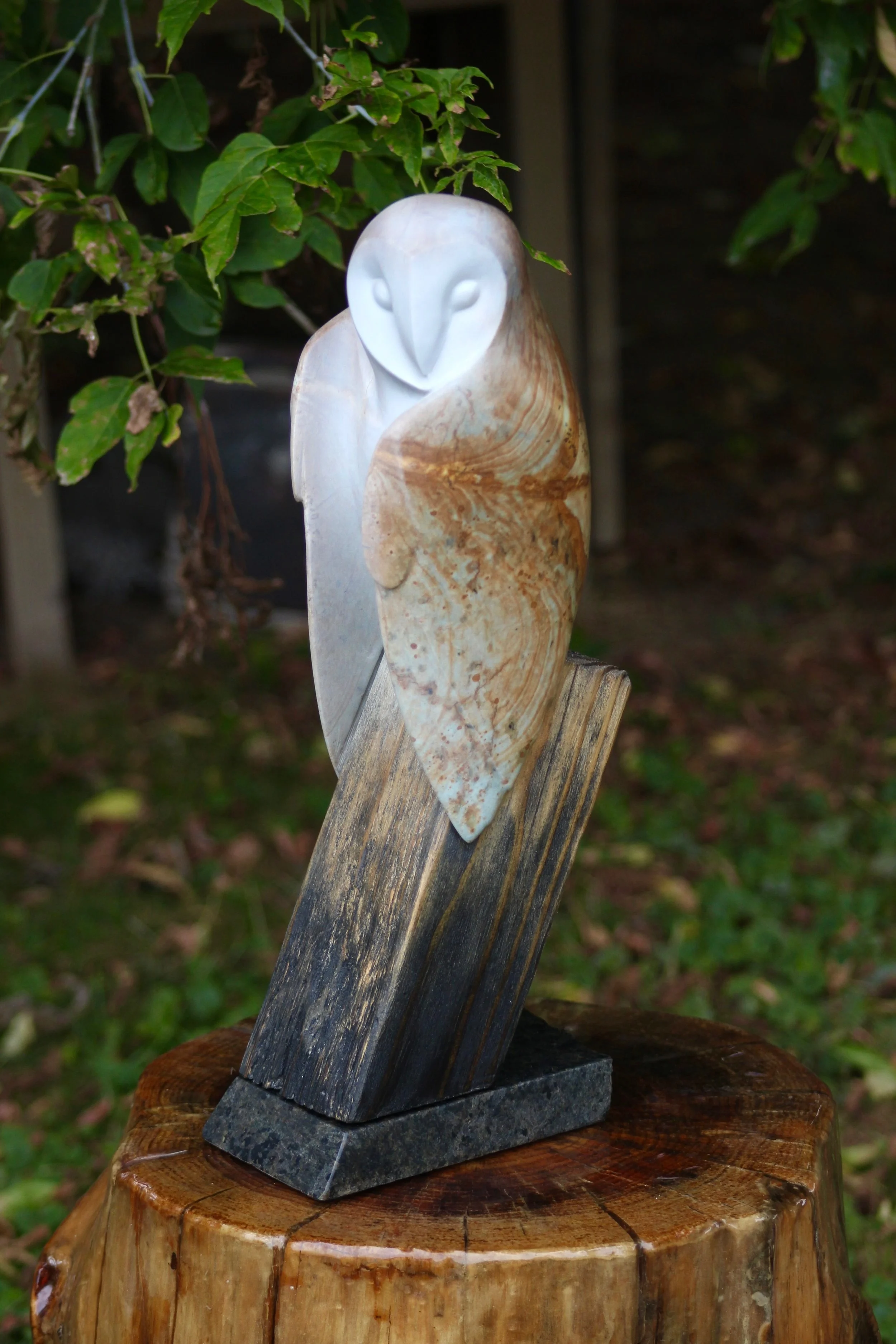 A soapstone sculpture of an owl made from carved and polished animal bones, mounted on a wooden and granite base, with green leaves in the background.  Made by Wesley Booker 2025.