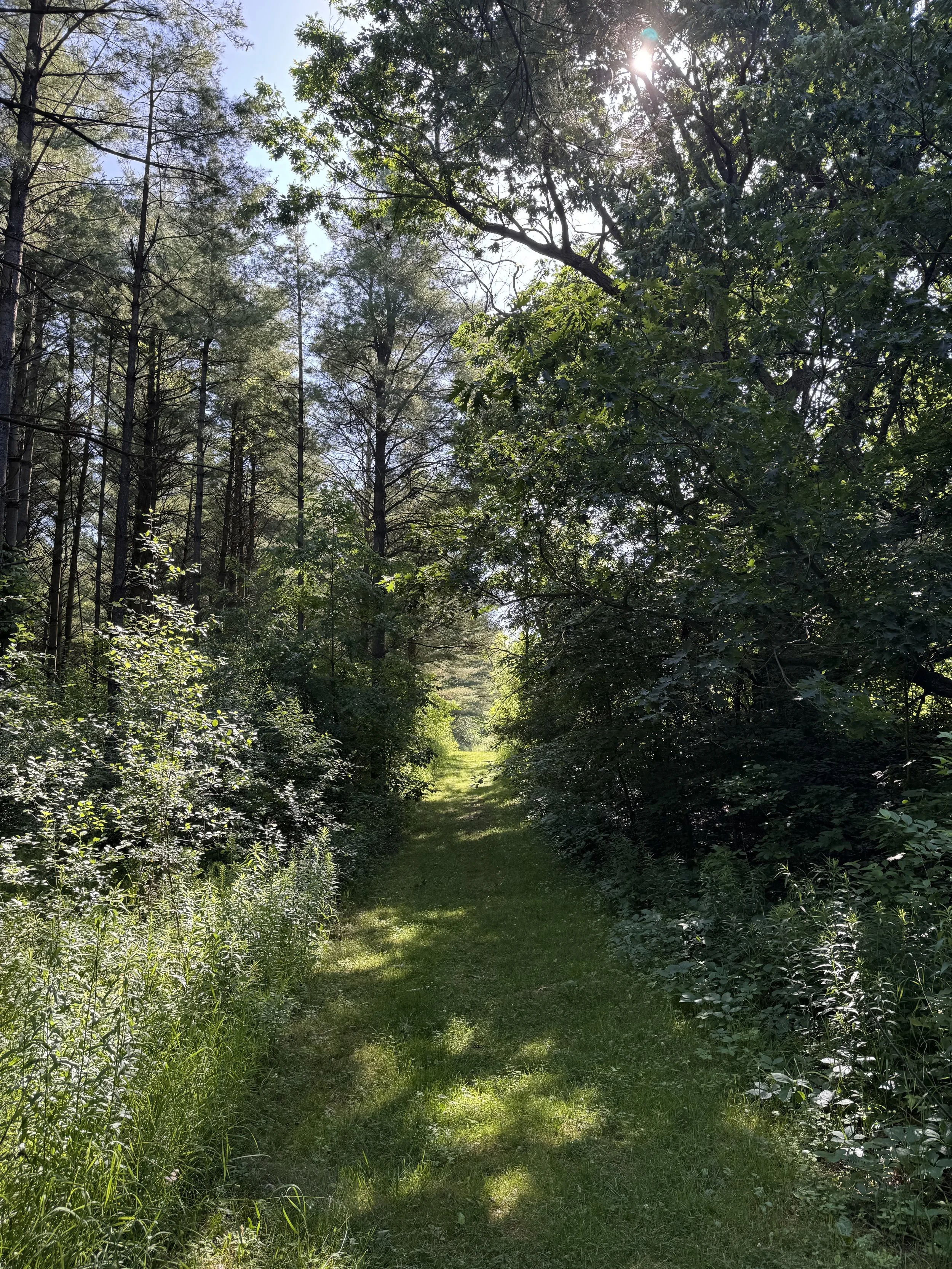 Finding Your Way Through Mistakes