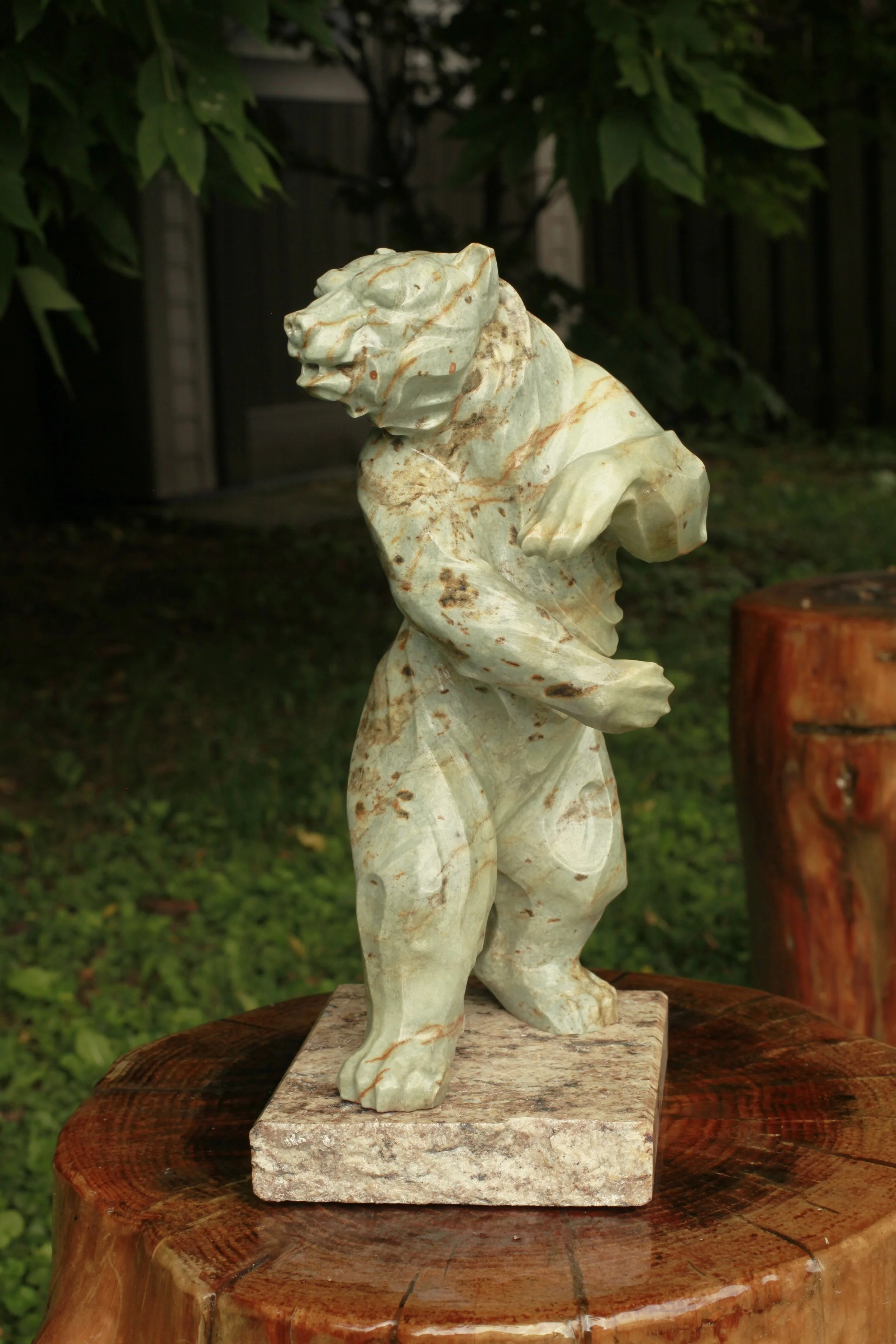 Finding Strength in Stone: The Story Behind “Fighting Chance”