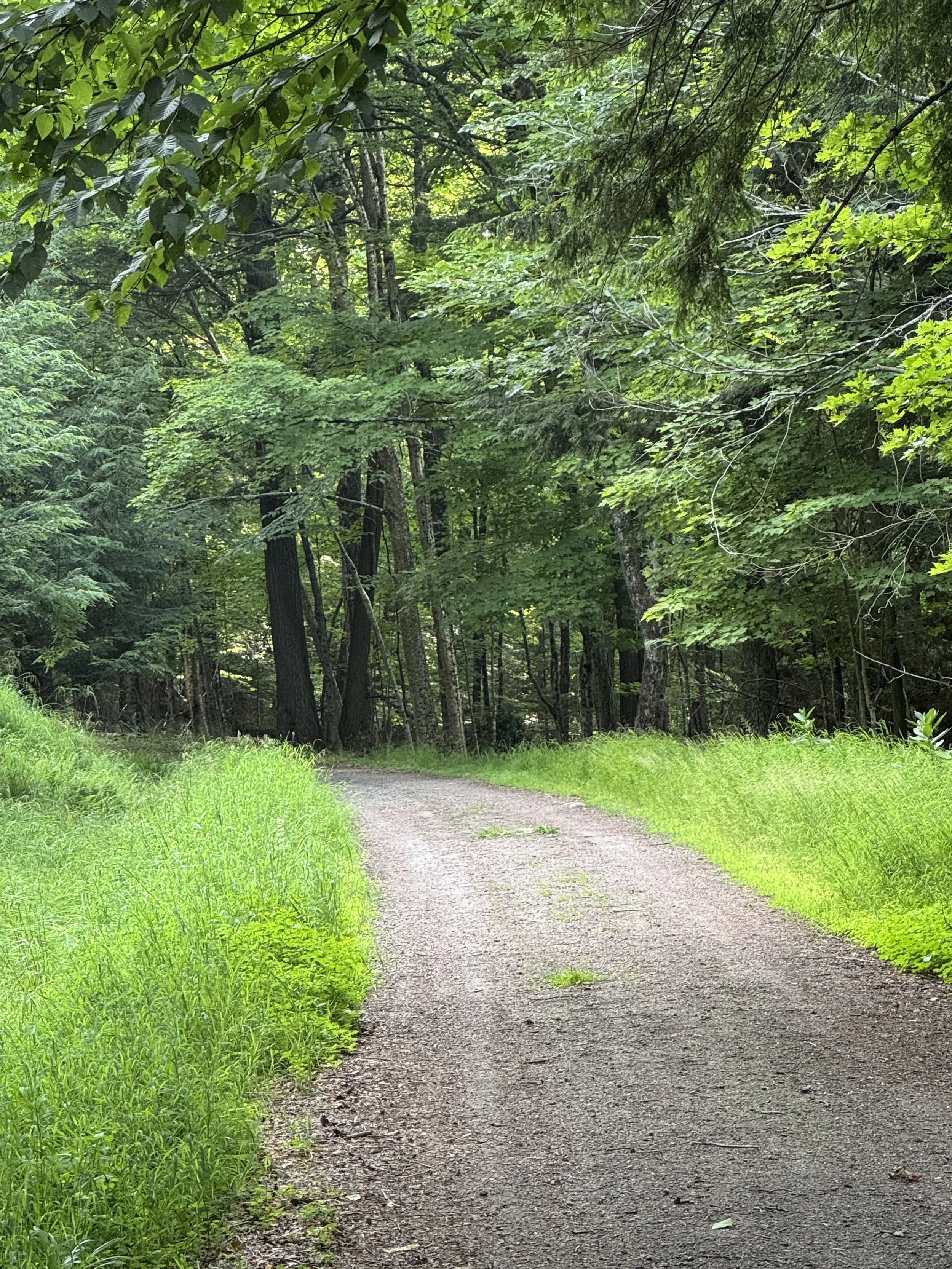 Haliburton: A Sea of Memories