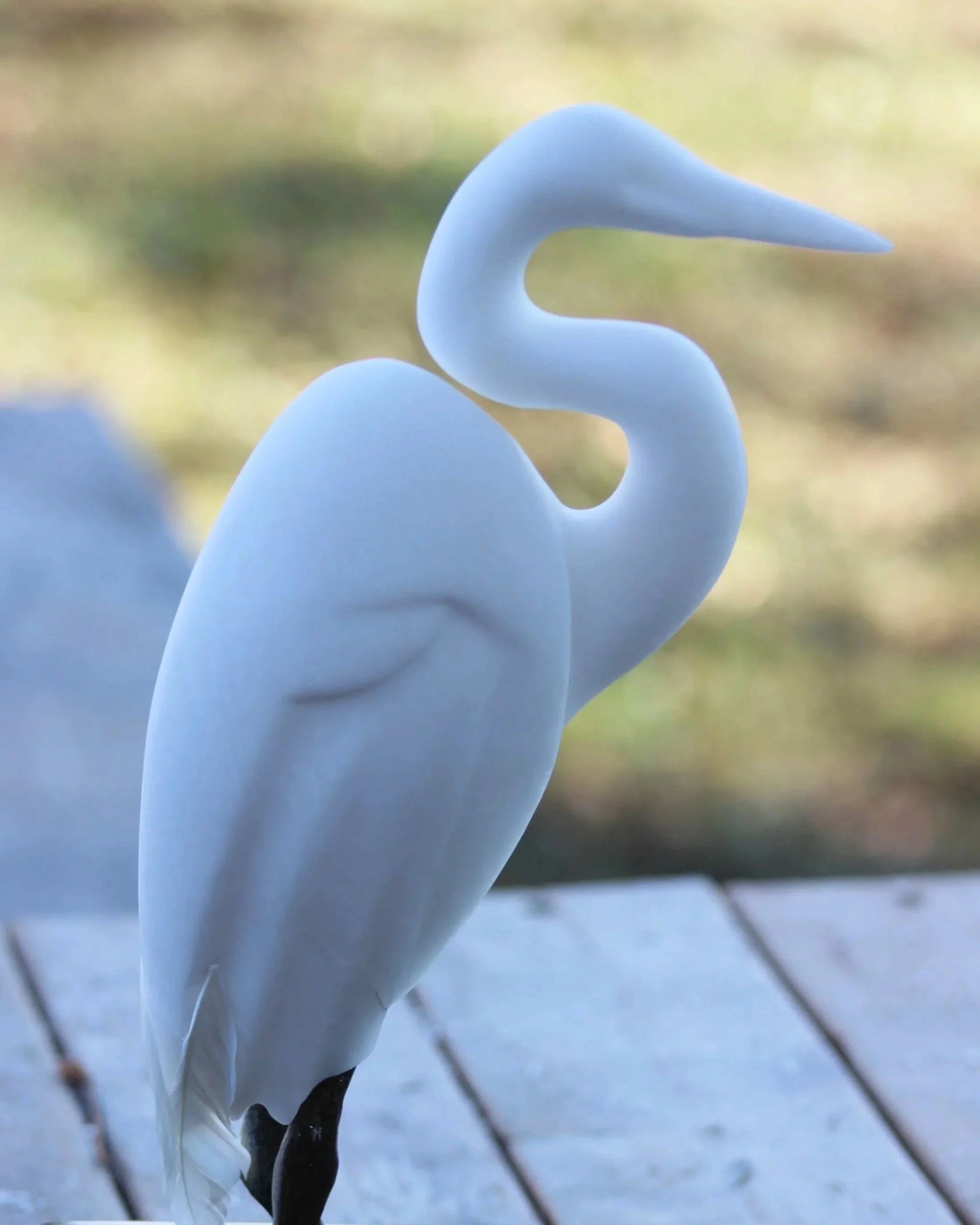 ‘Two Rivers’  - Great White Egret