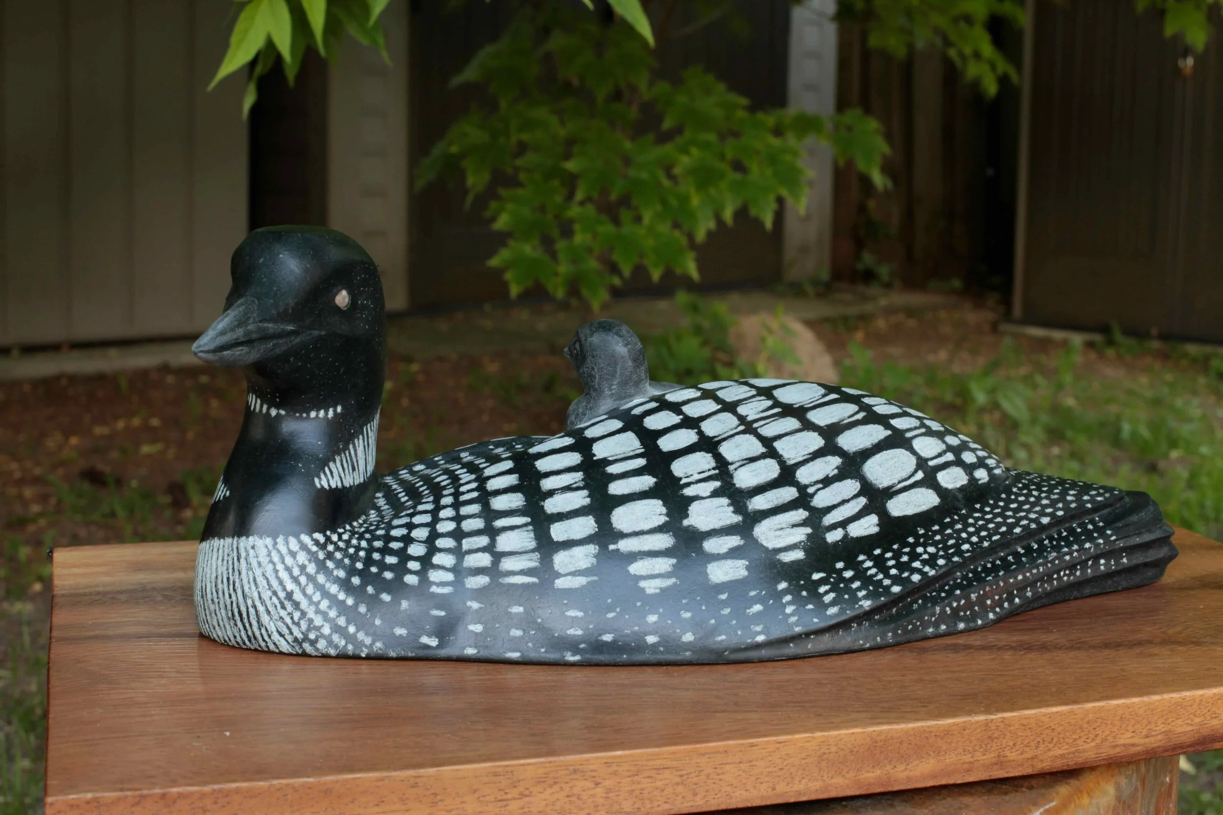 Guide - Loons - 4.jpeg
