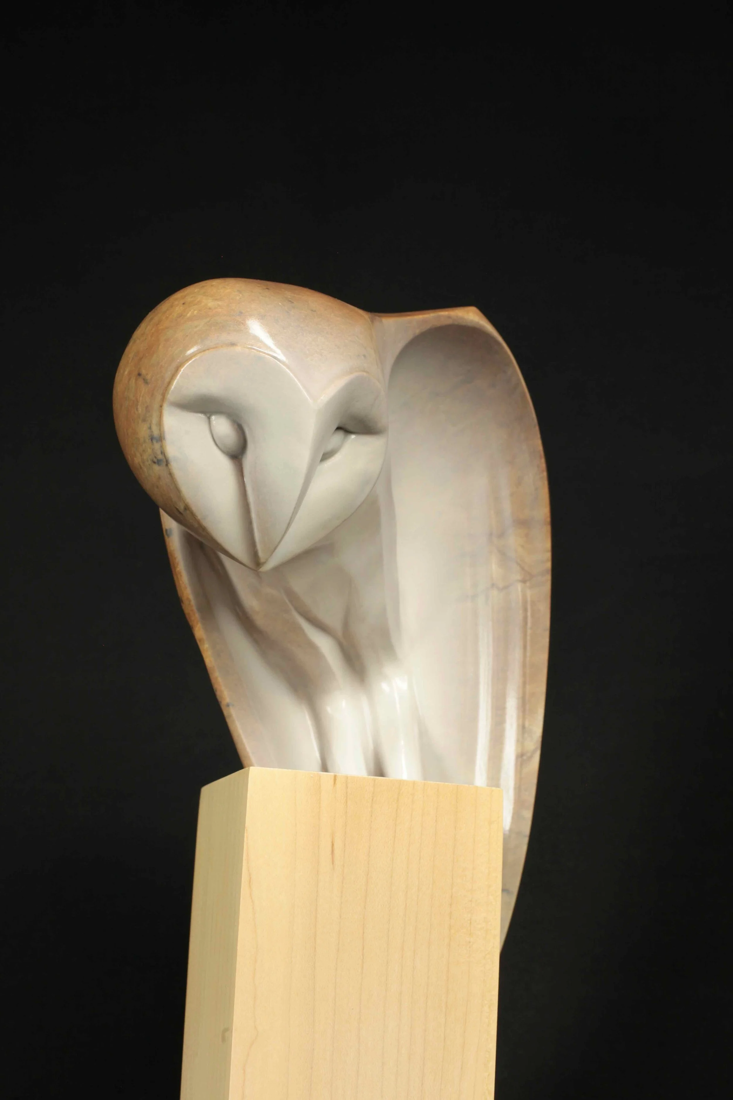 Nocturnae - Barn Owl - 8.jpeg