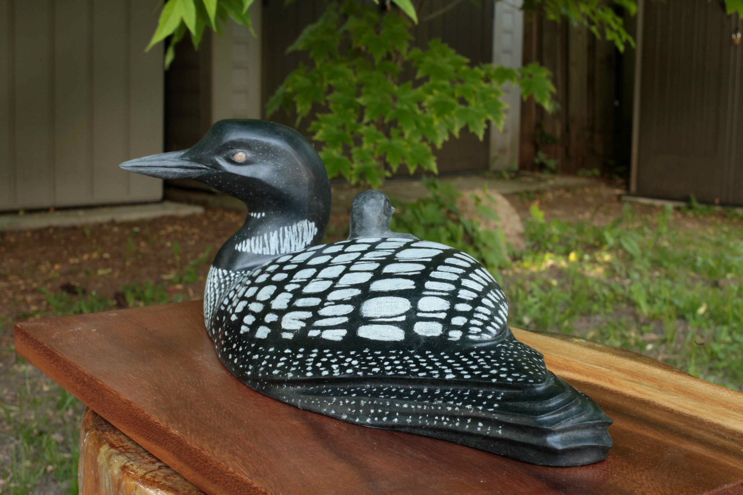 Guide - Loons - 5.jpeg