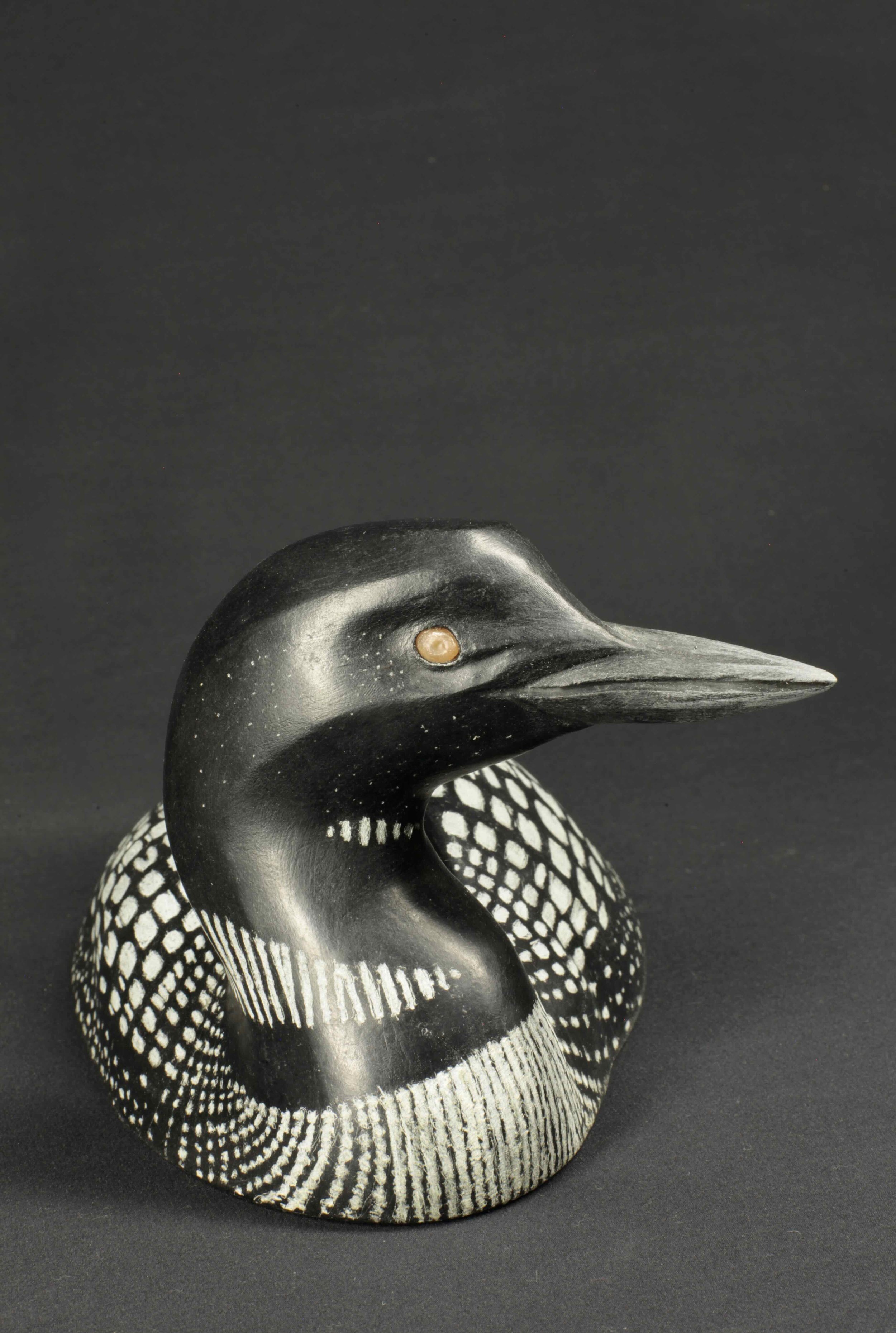 Guide - Loons - 11.jpeg