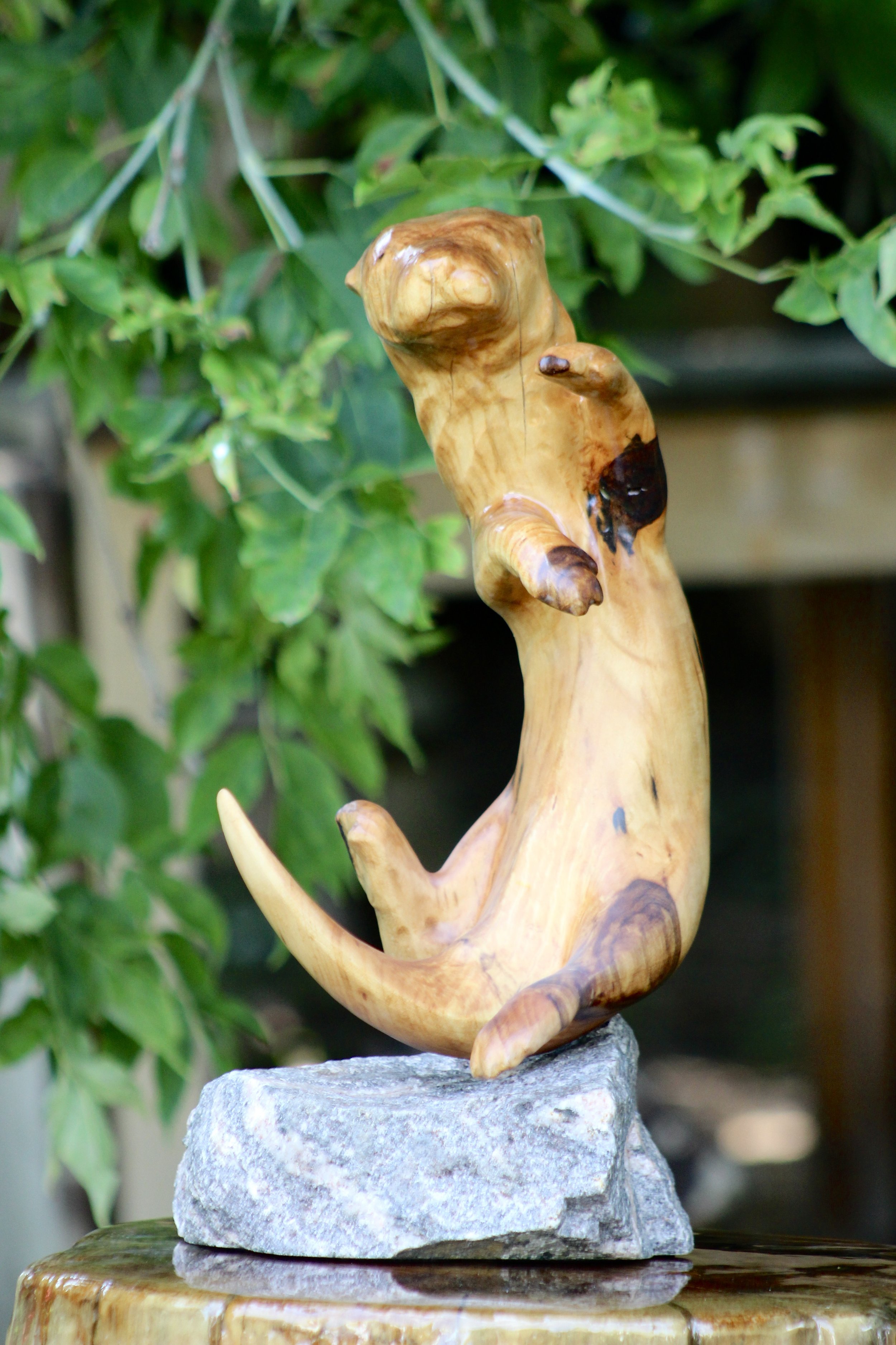 River Otter.jpeg
