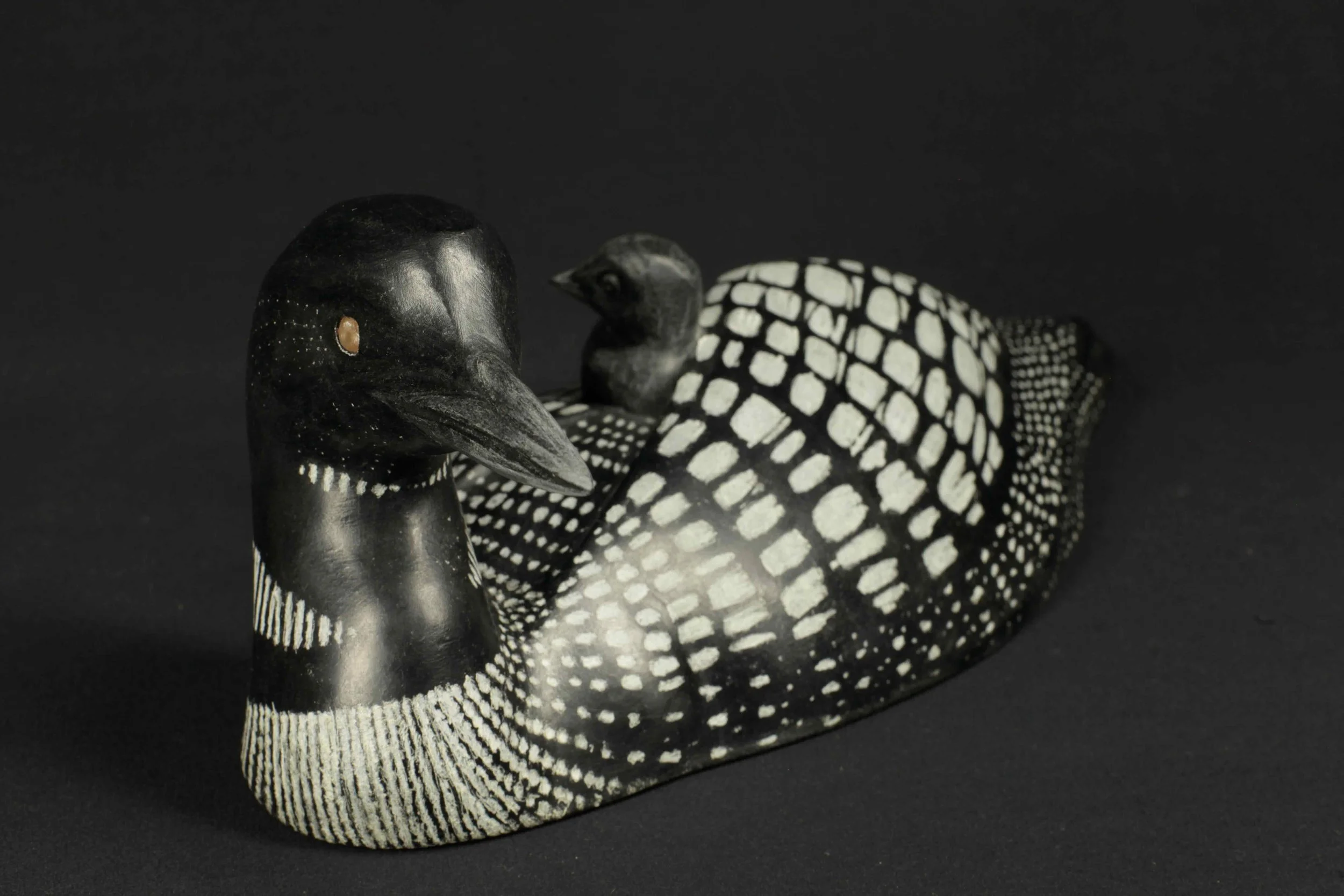 Guide - Loons - 16.jpeg